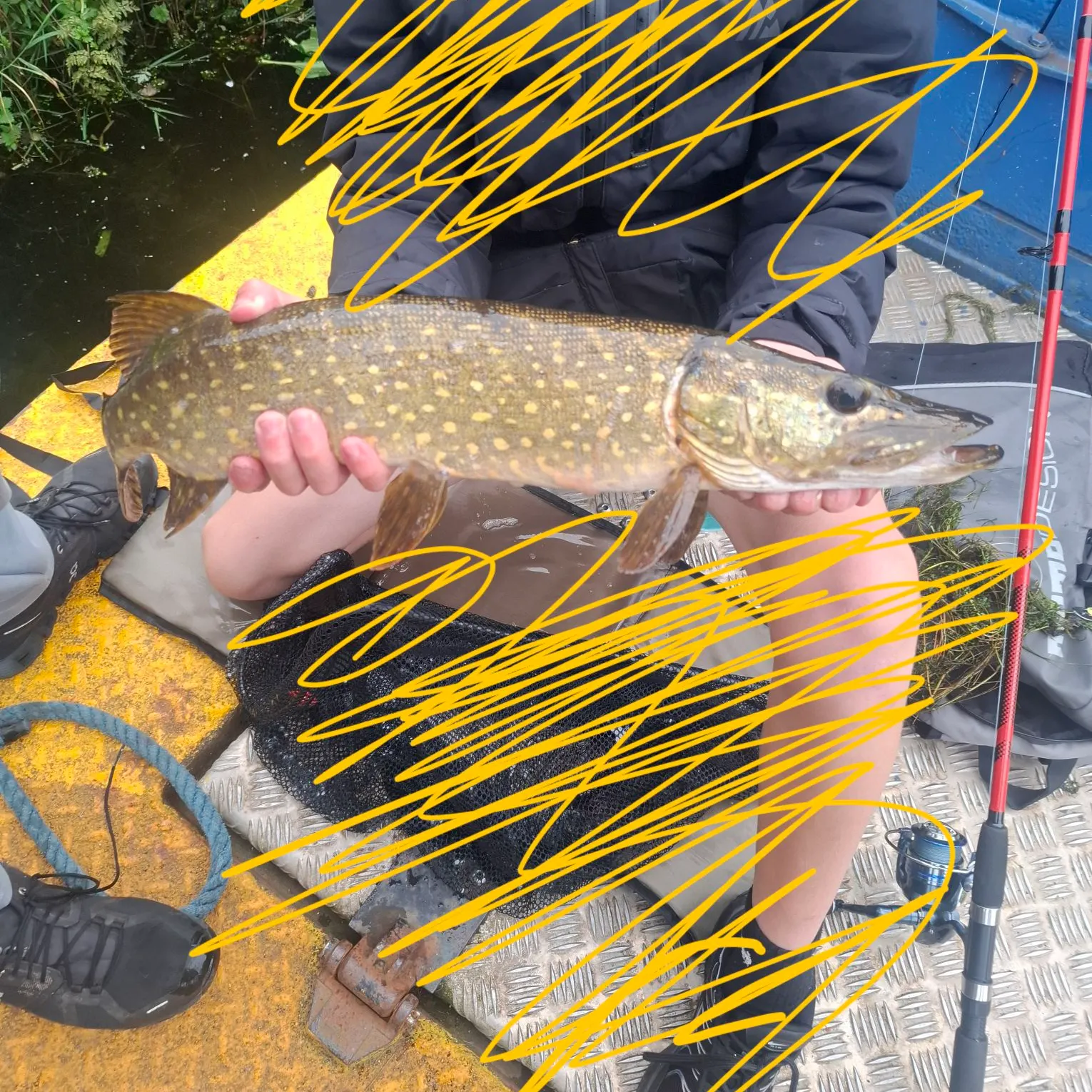 Fish caught on Fishbrain