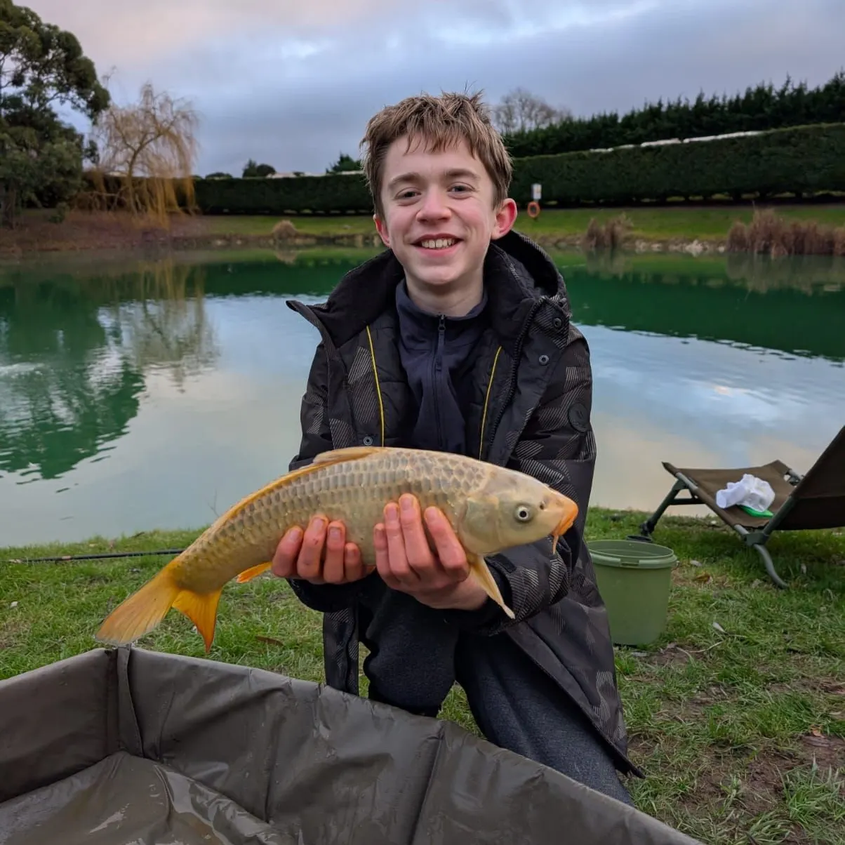 The most recent Ghost carp catches on Fishbrain