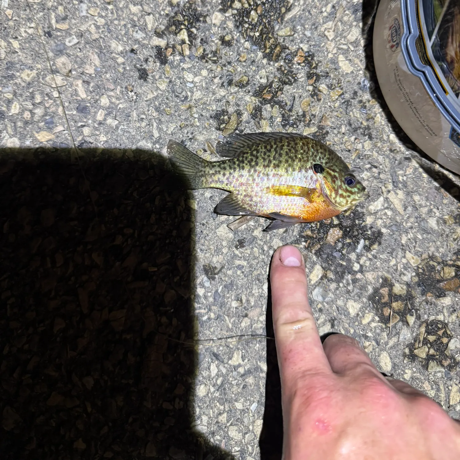 catch