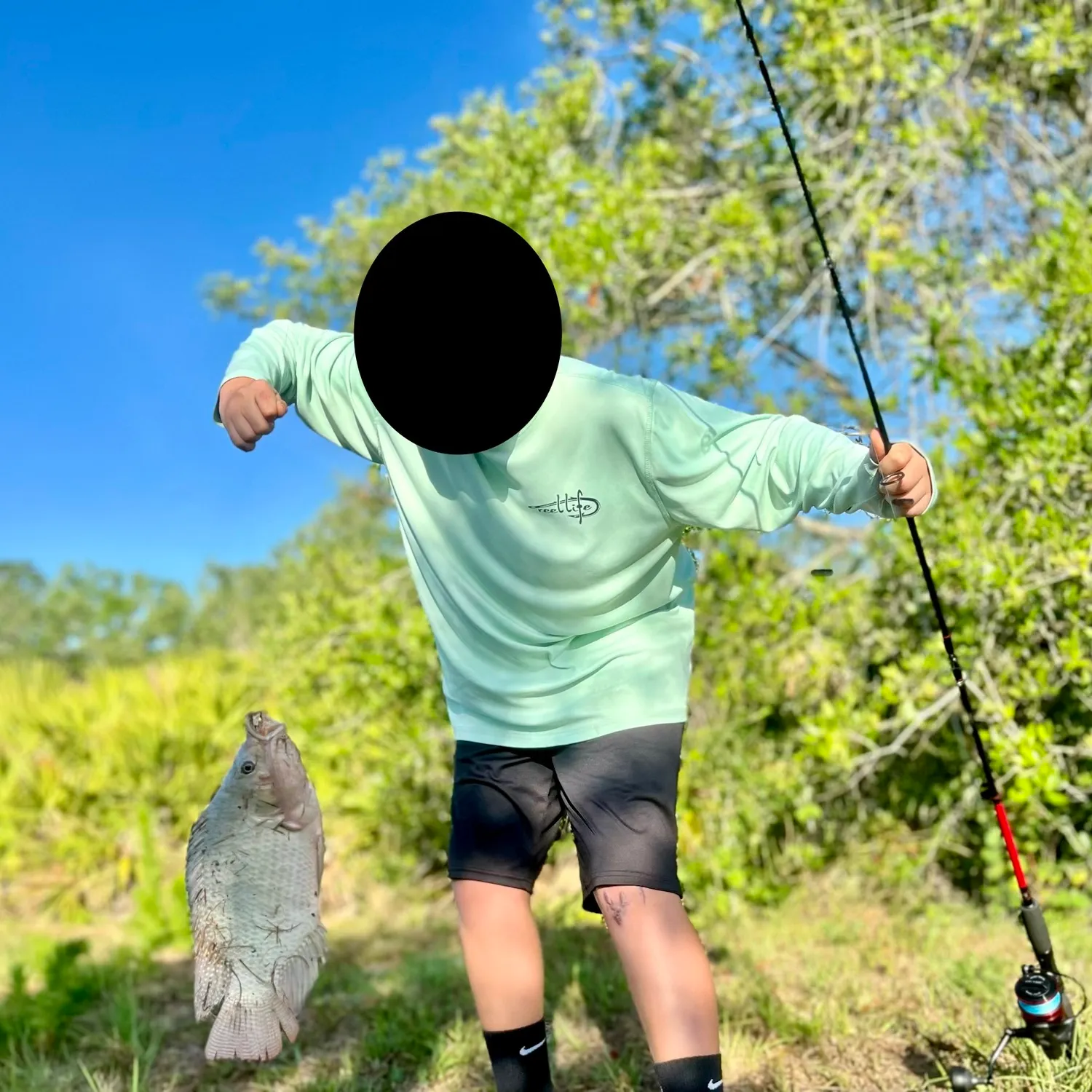 The most recent Nile tilapia catches on Fishbrain