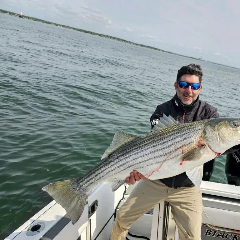 angler catch