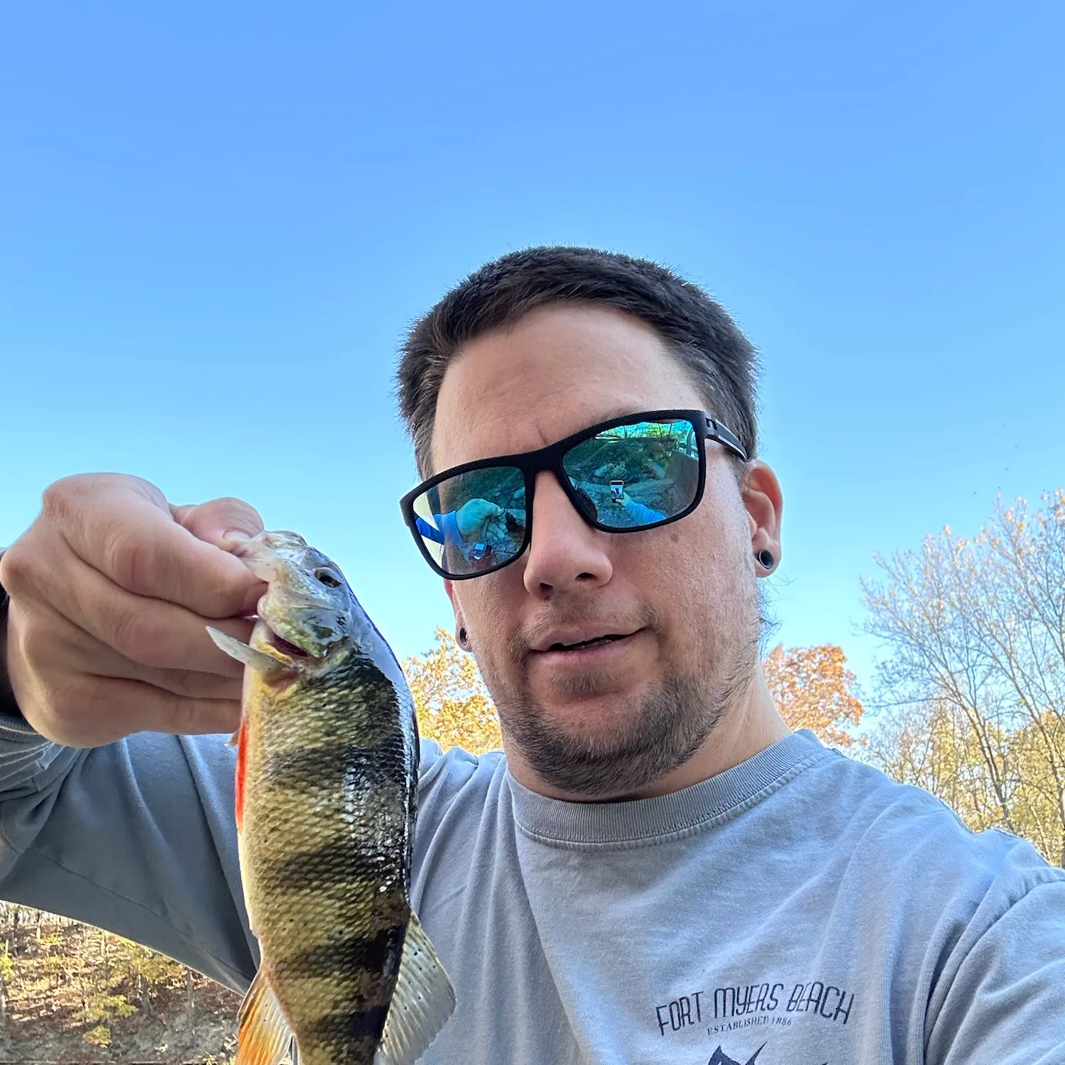 Yellow perch caught on Fishbrain