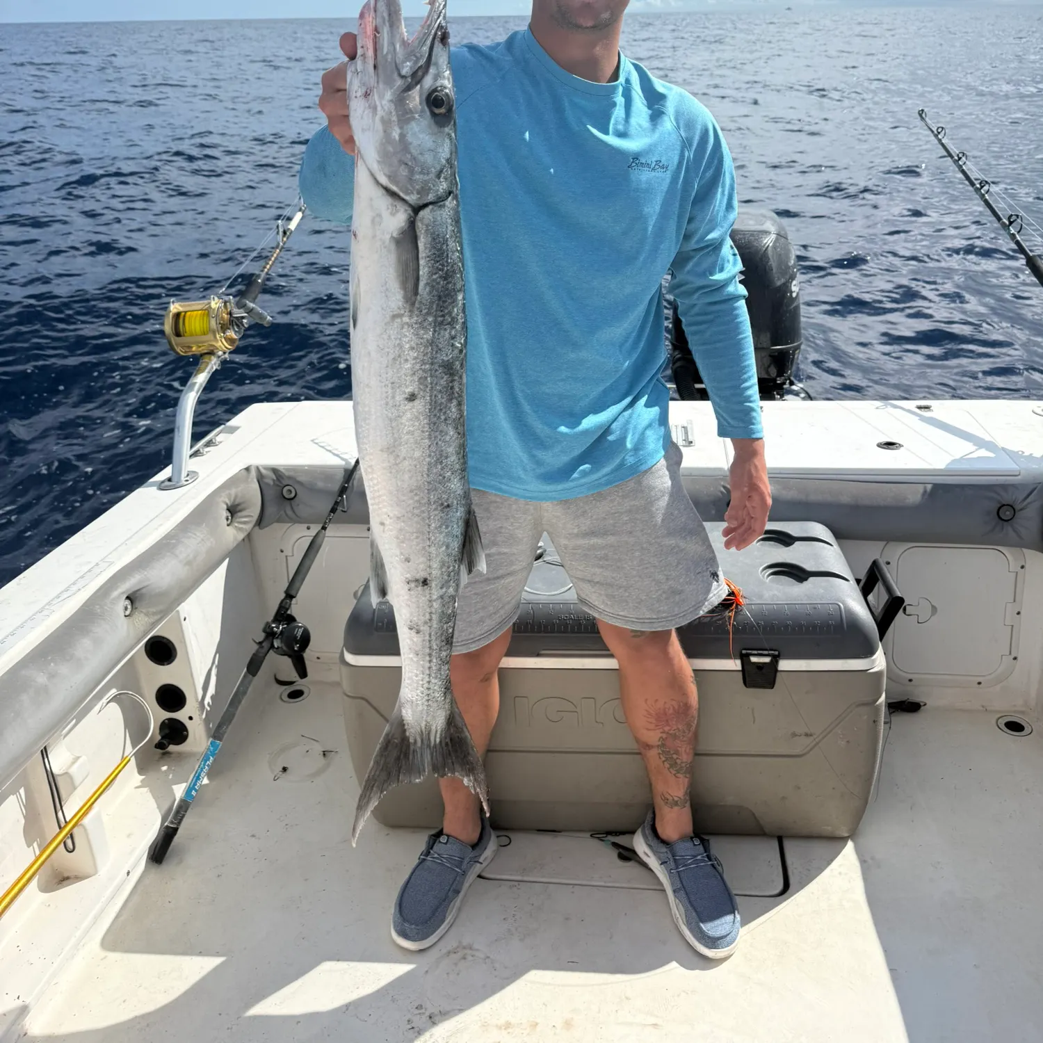 The most recent Great barracuda catches on Fishbrain