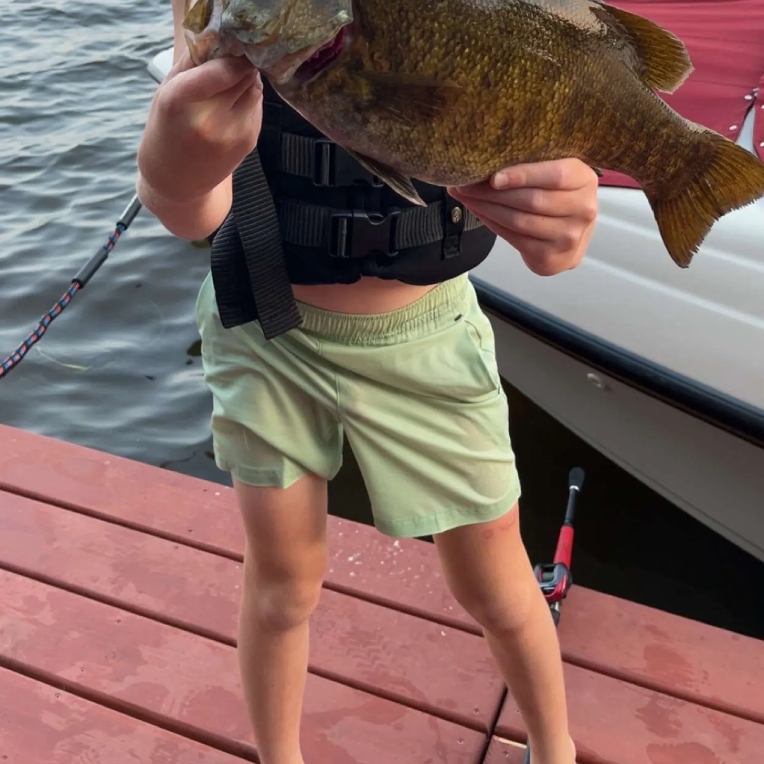 The most recent Smallmouth bass catches on Fishbrain