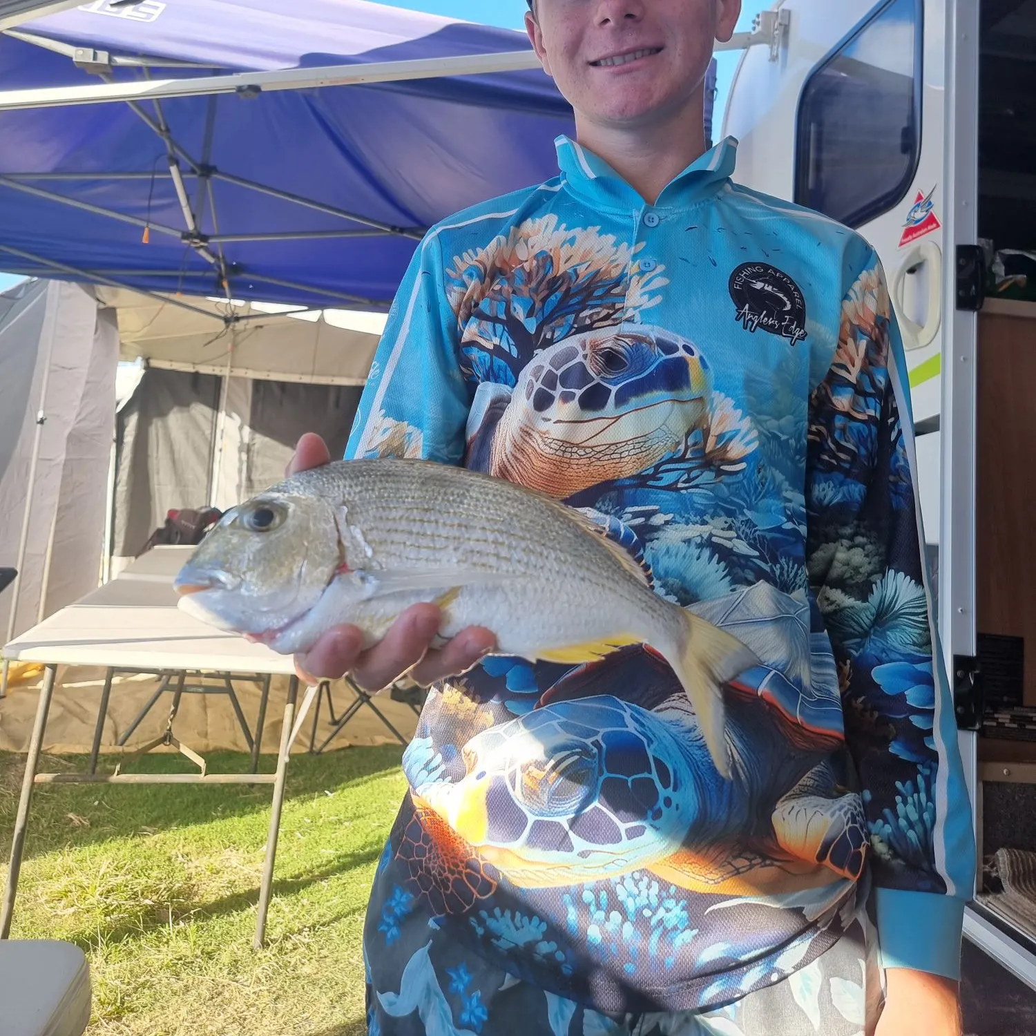 Goldlined seabream caught on Fishbrain