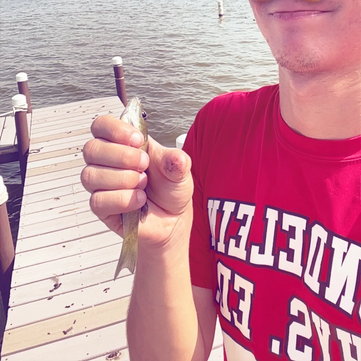 Bluegill caught on Fishbrain
