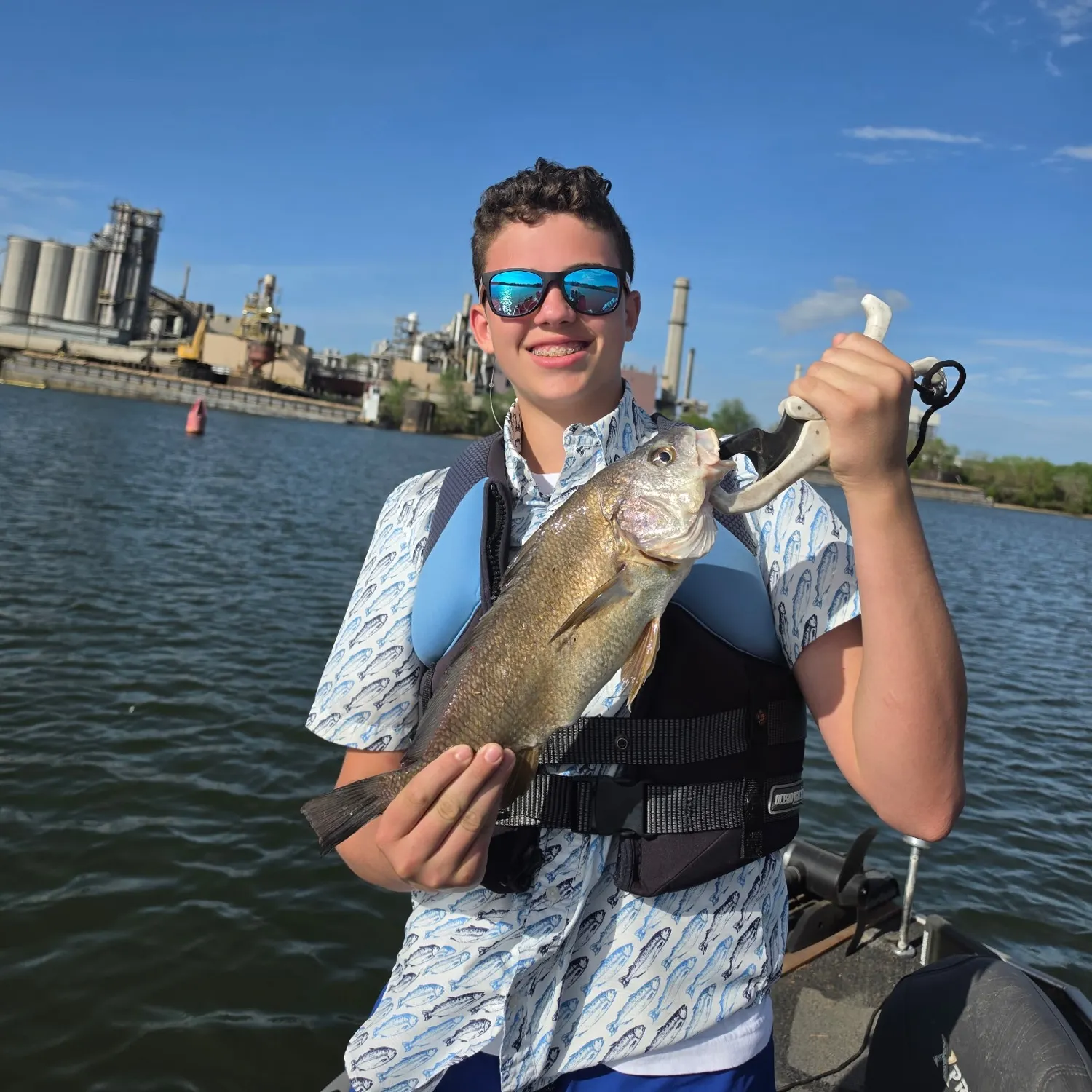 The most recent Corvina drum catches on Fishbrain