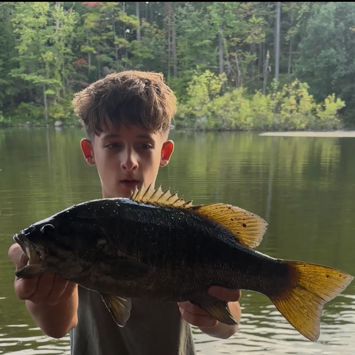 Smallmouth bass caught on Fishbrain