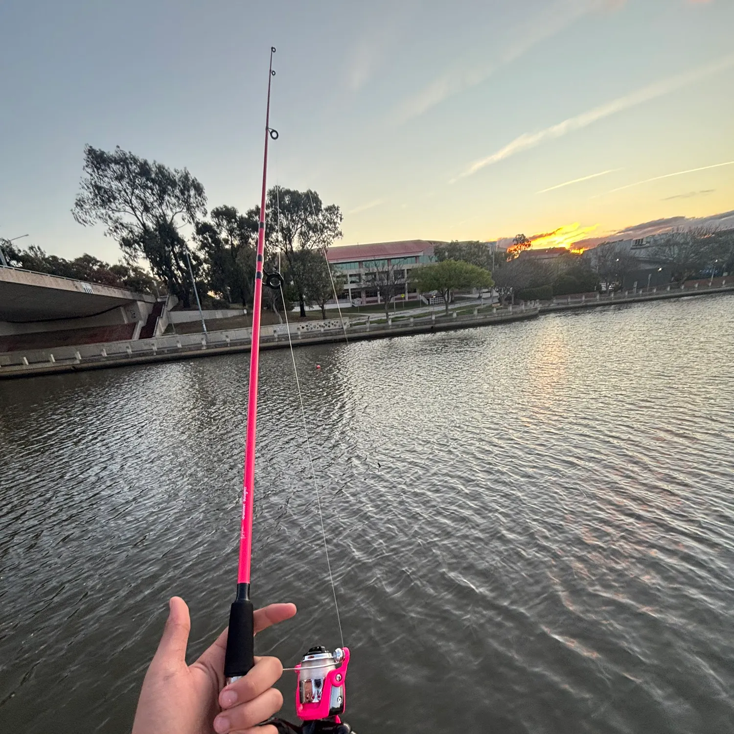 Fish caught on Fishbrain