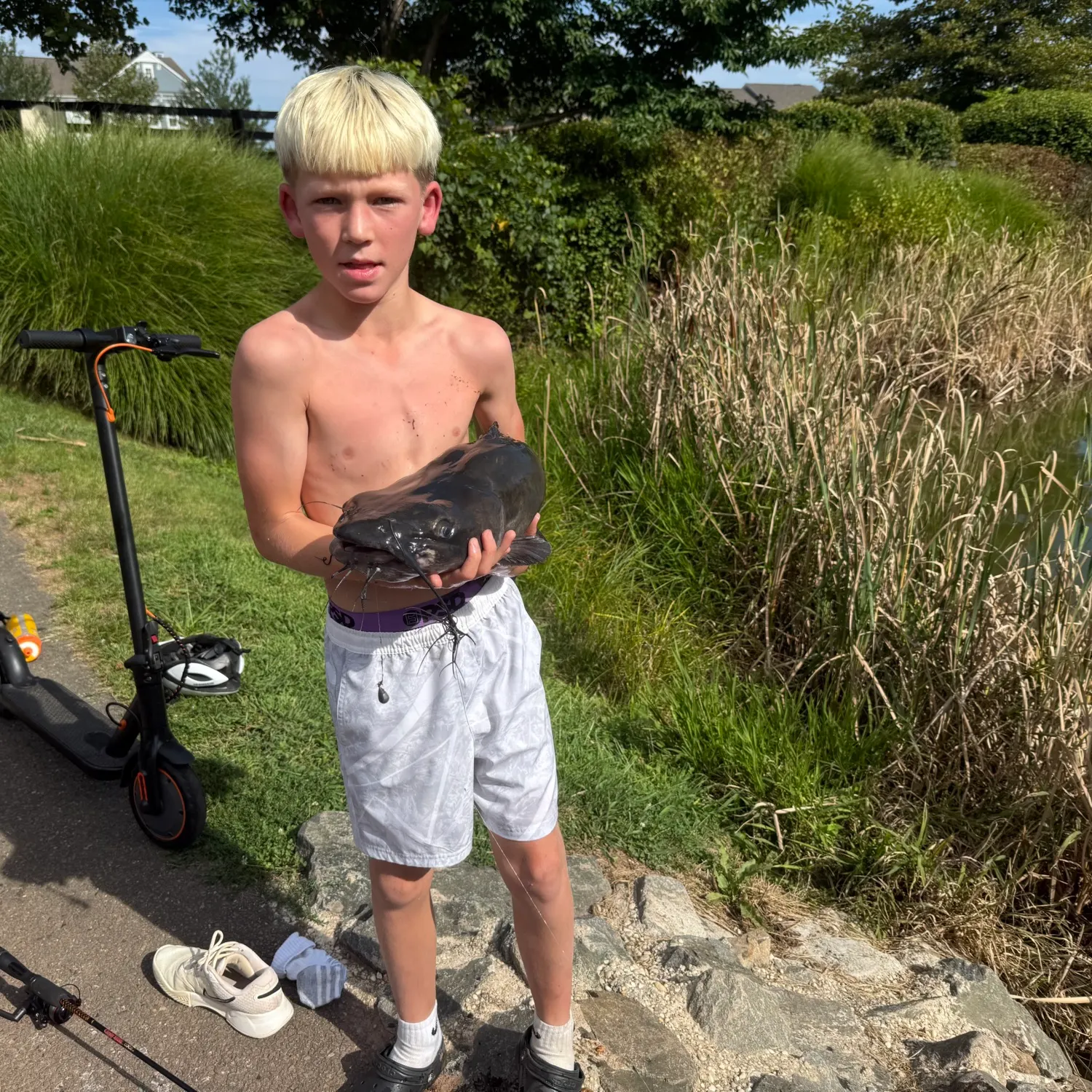 Channel catfish caught on Fishbrain