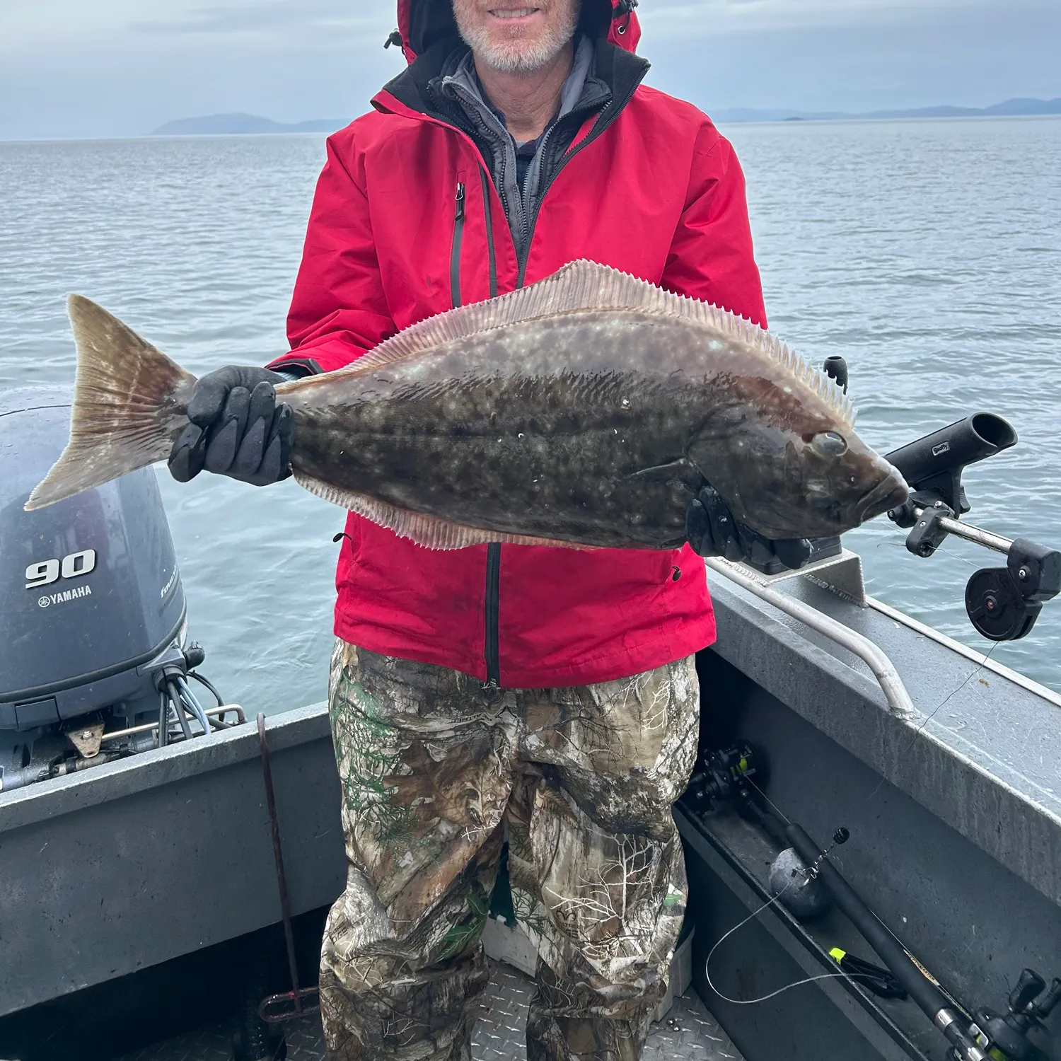 Pacific halibut caught on Fishbrain