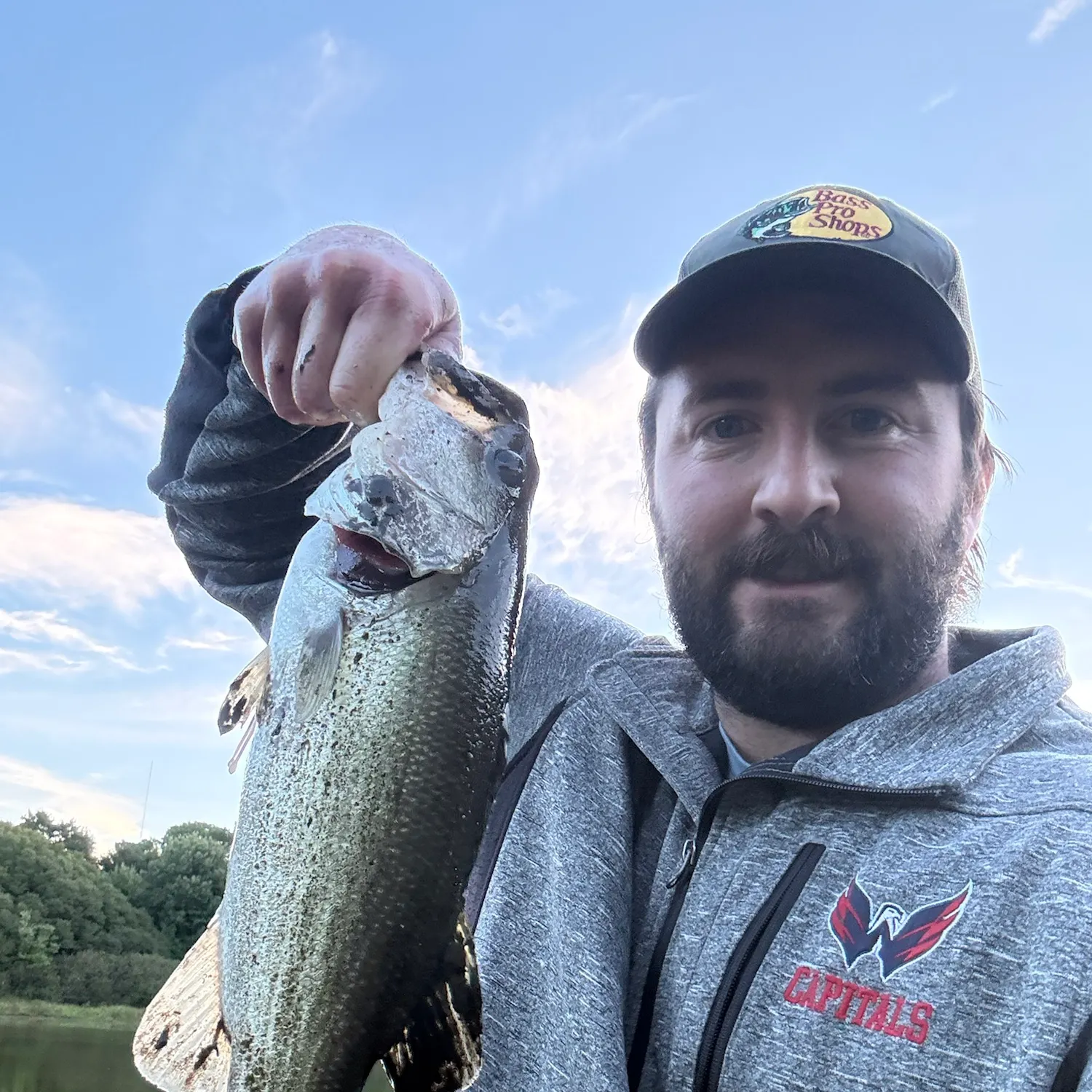 Largemouth bass caught on Fishbrain