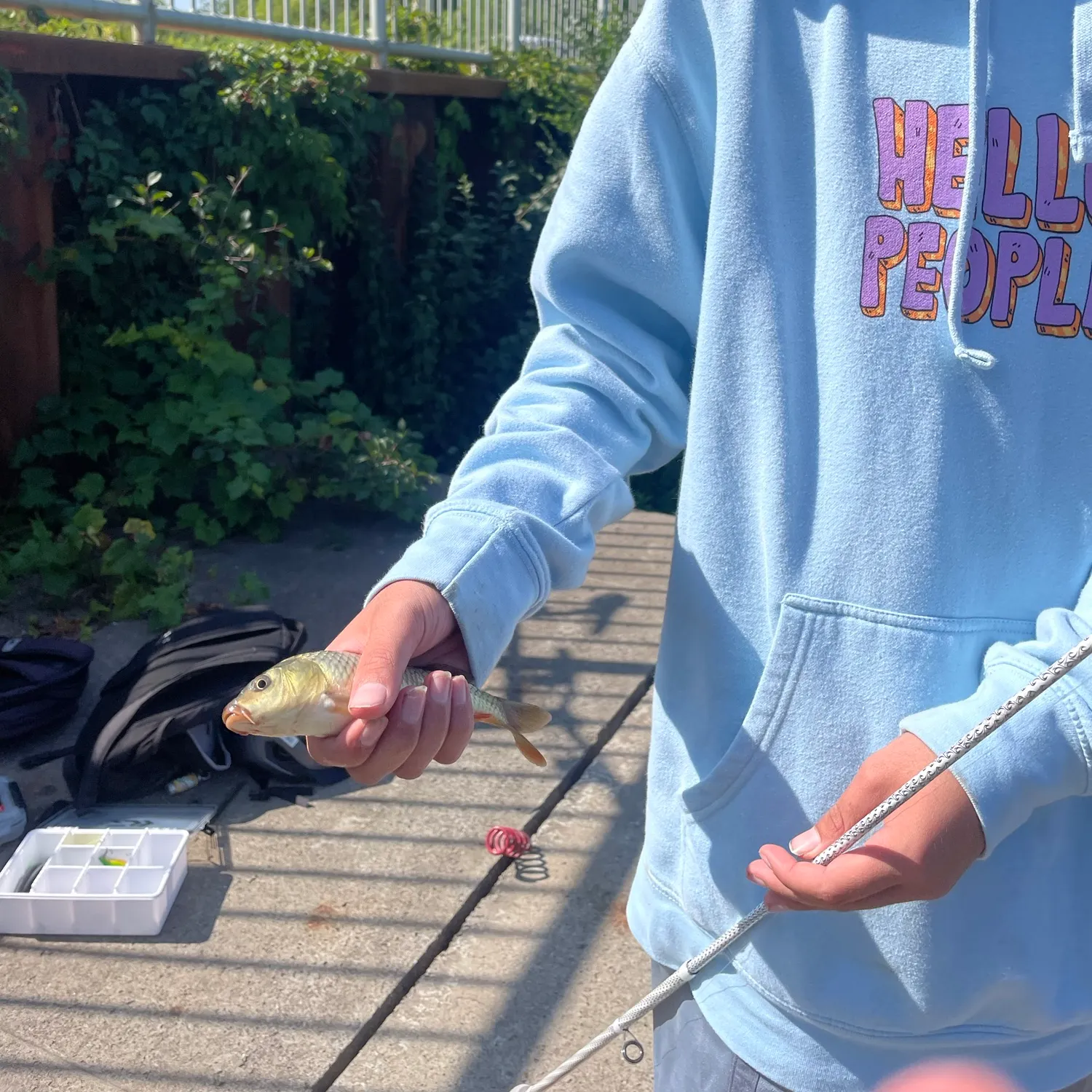The most recent Golden redhorse catches on Fishbrain