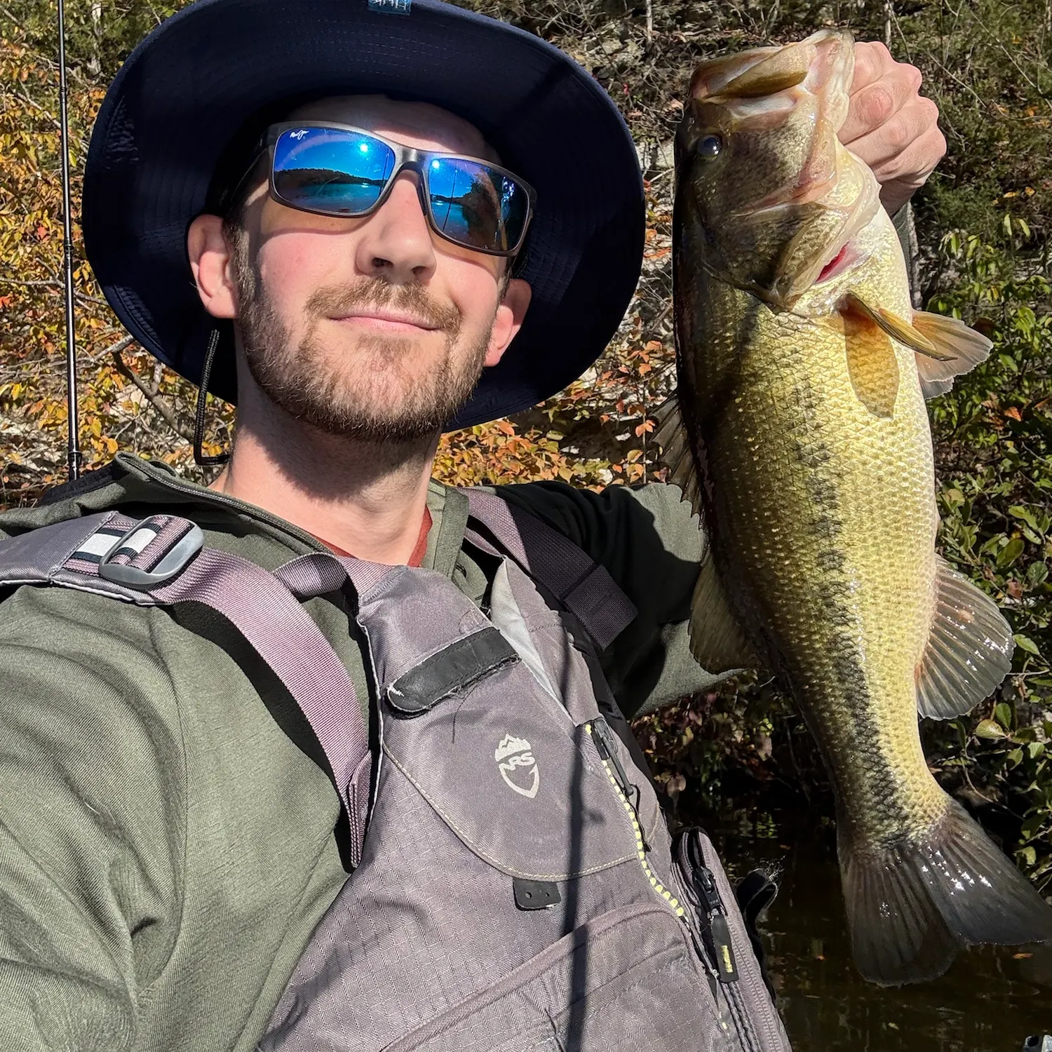 Largemouth bass caught on Fishbrain