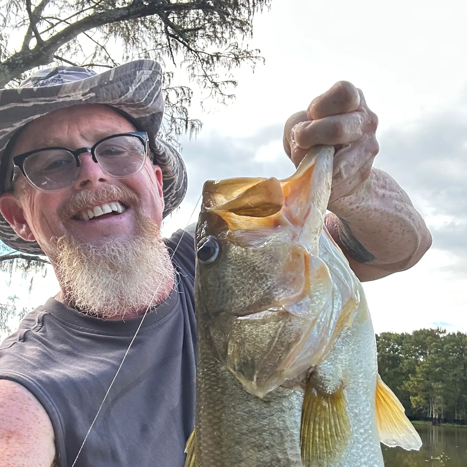 Largemouth bass caught on Fishbrain