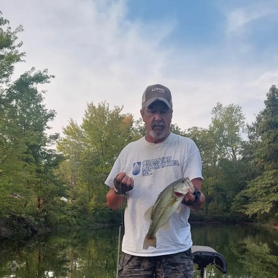 Largemouth bass caught on Fishbrain