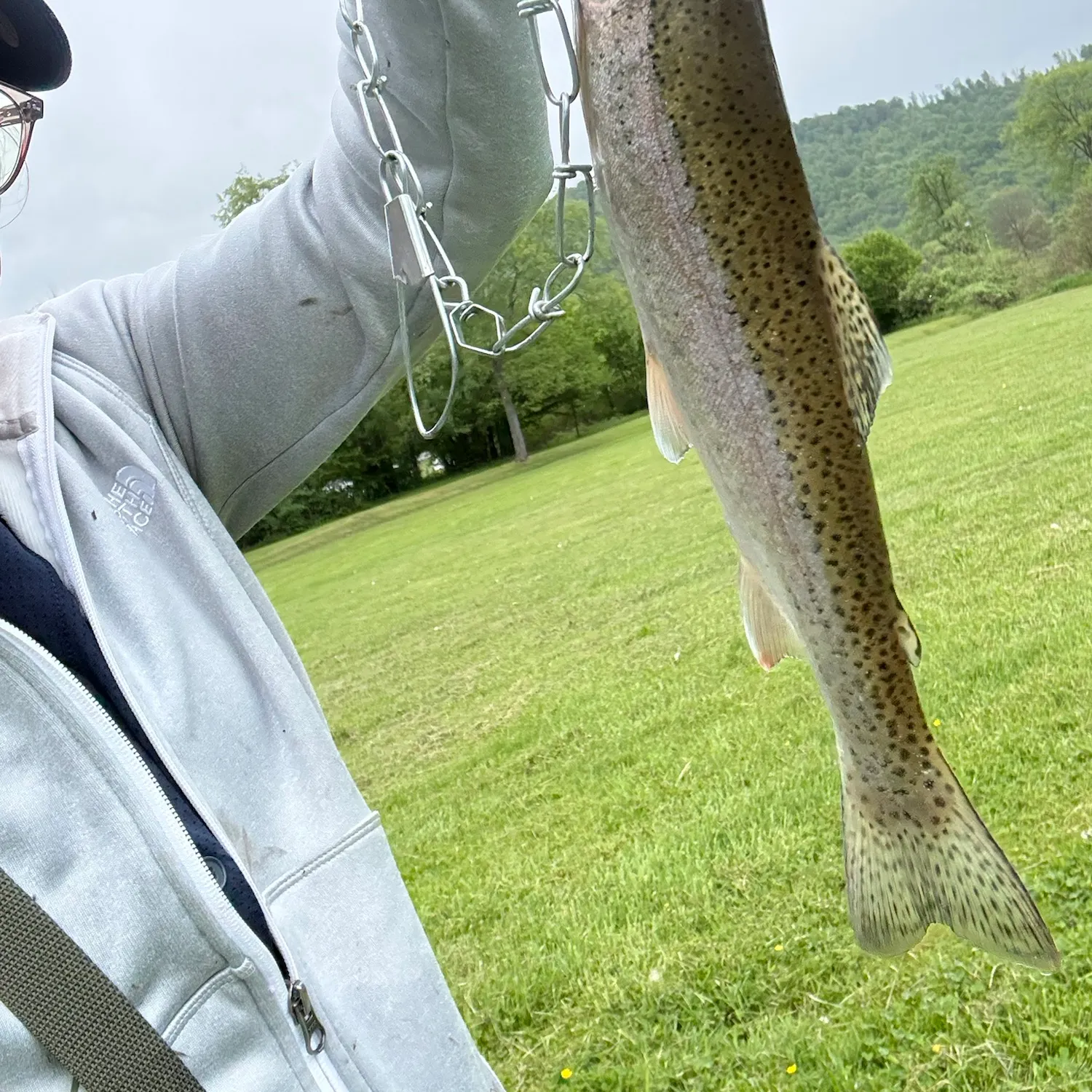Rainbow trout caught on Fishbrain