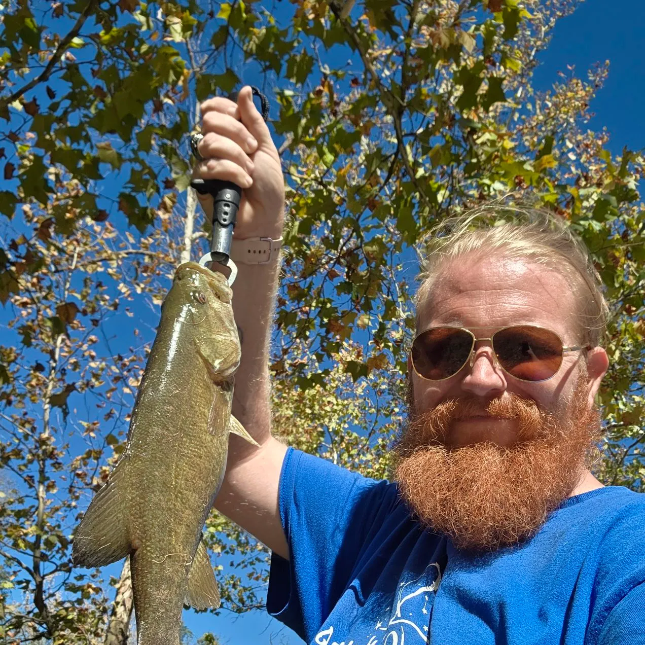 Smallmouth bass caught on Fishbrain