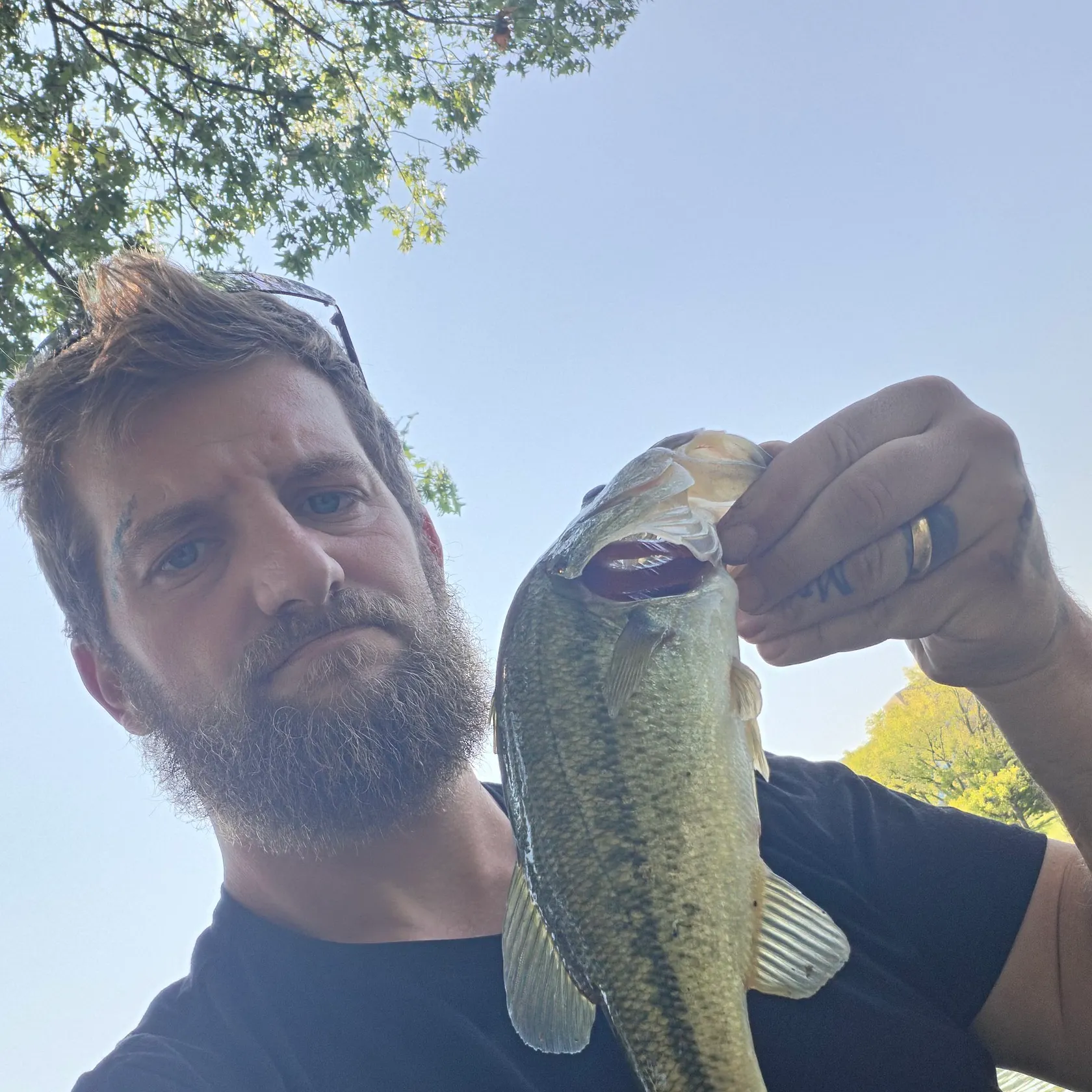 Fish caught on Fishbrain