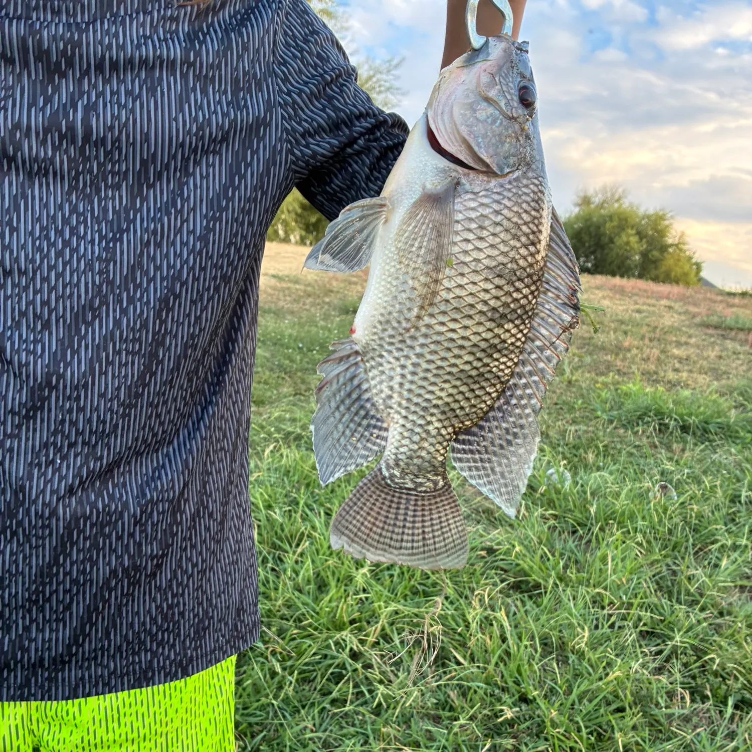 Fish caught on Fishbrain