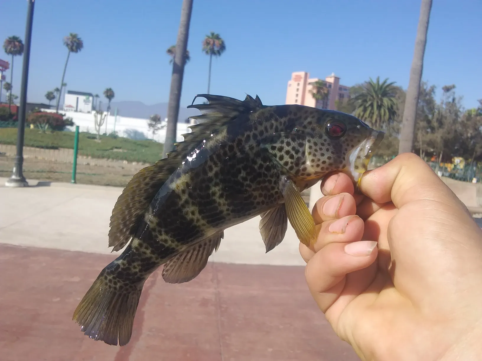 Post image from dledezma3234