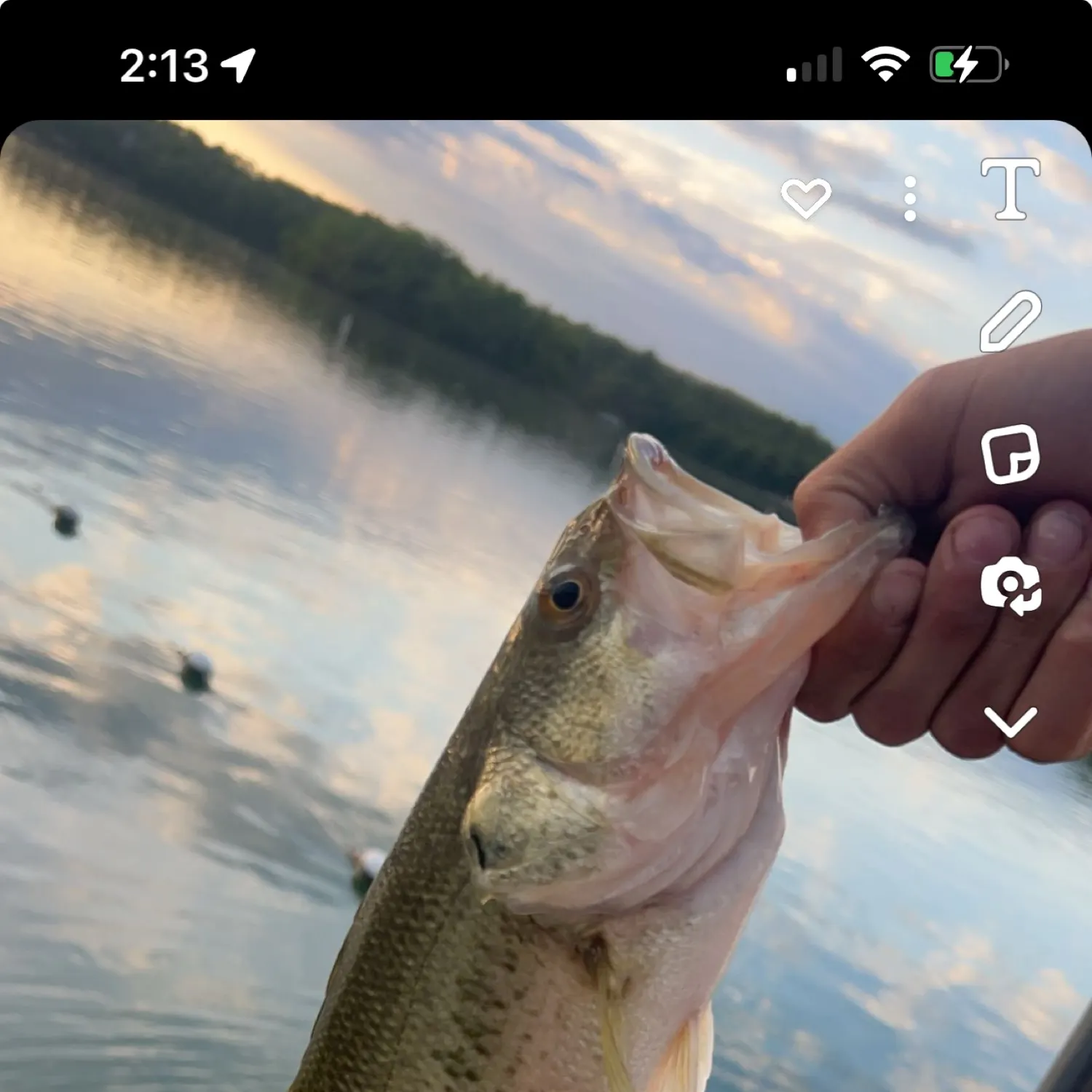 recently logged catches