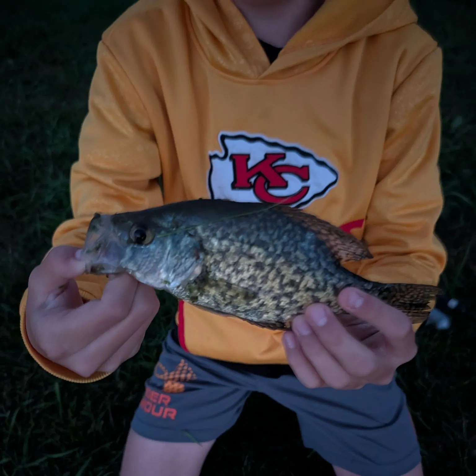 Black crappie caught on Fishbrain