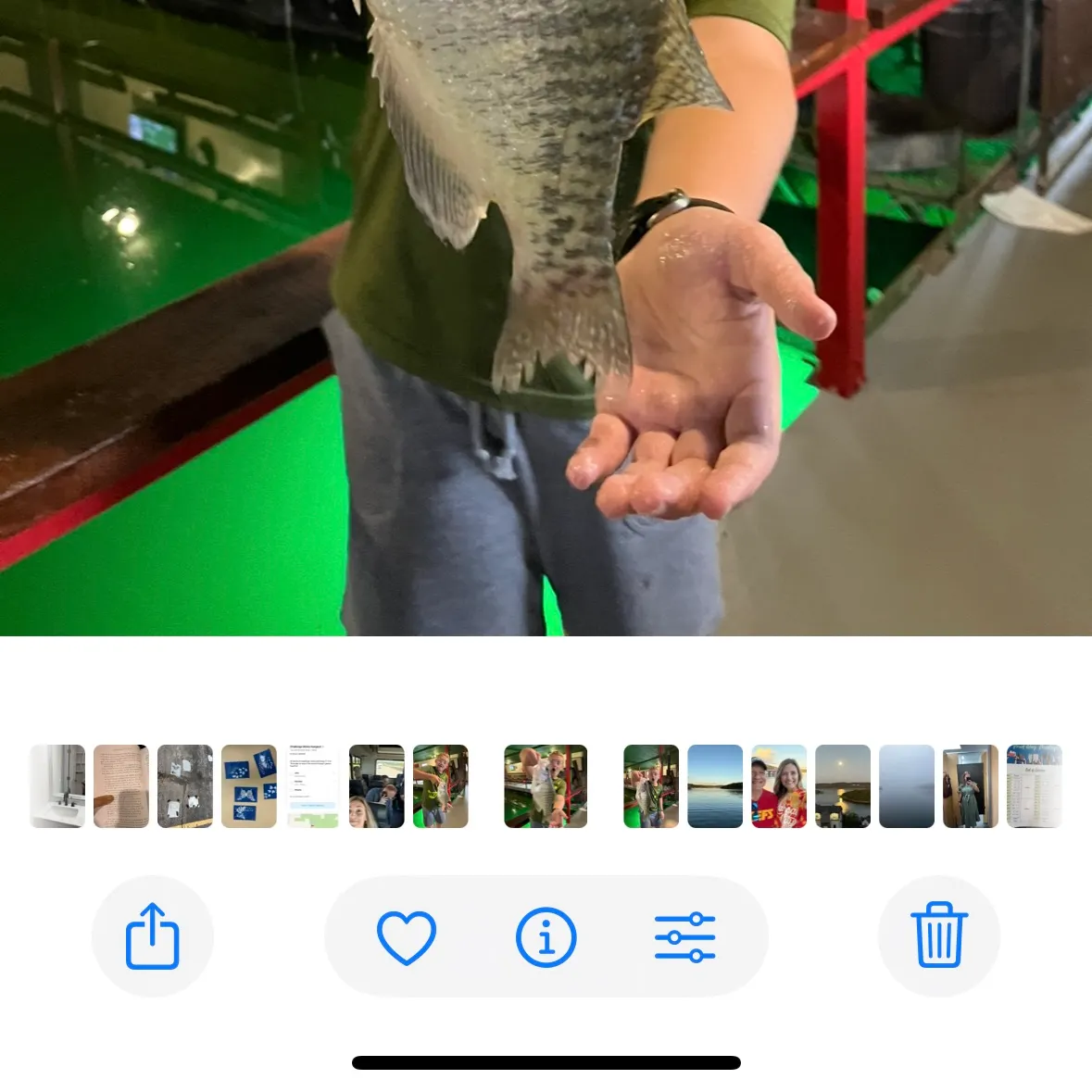 recently logged catches