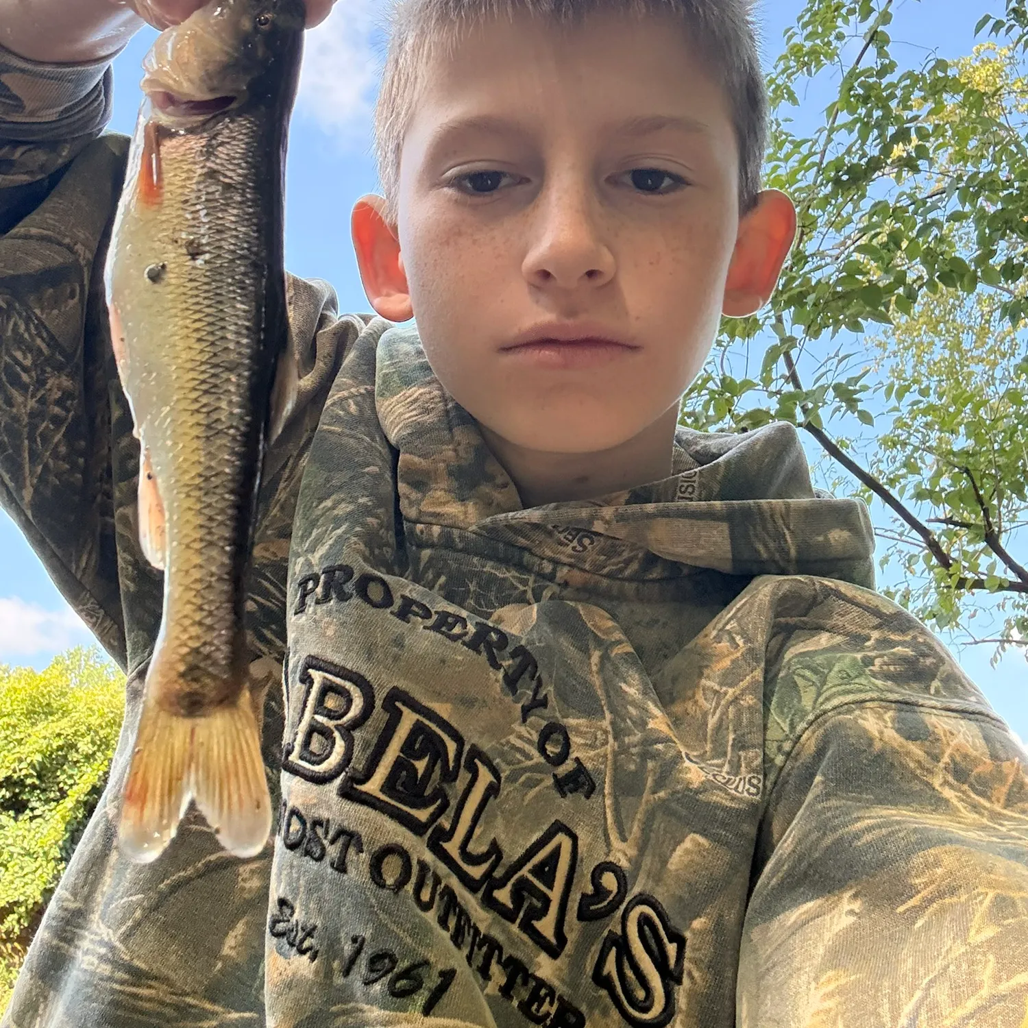 Creek chub caught on Fishbrain
