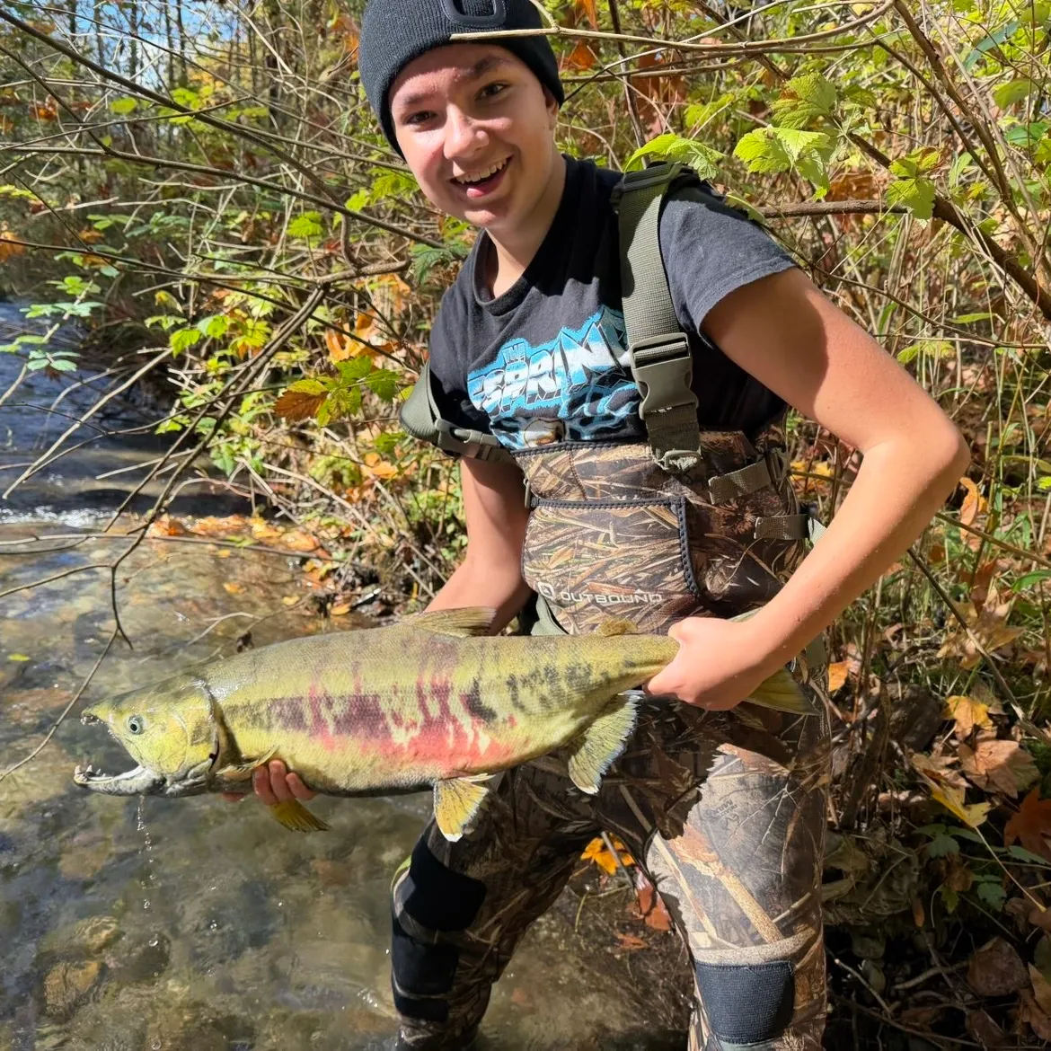 Chum salmon caught on Fishbrain