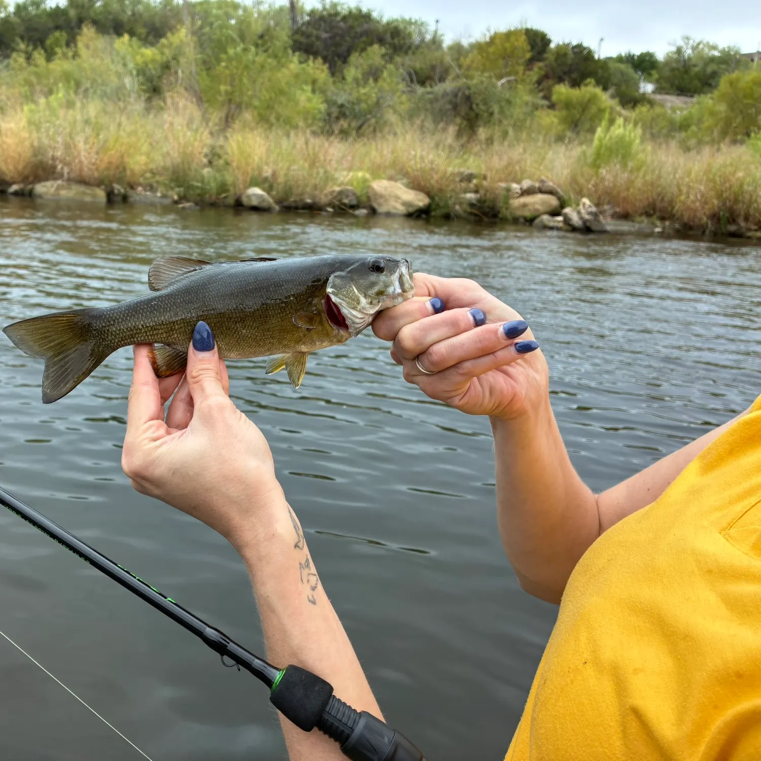 Smallmouth bass caught on Fishbrain
