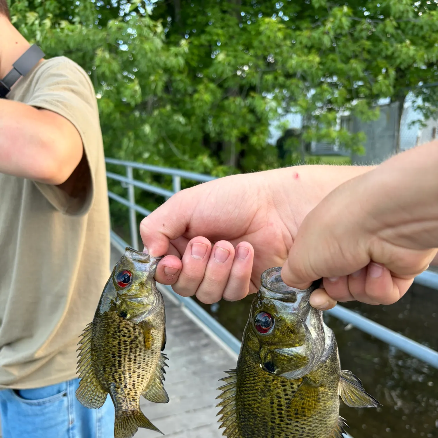 catch