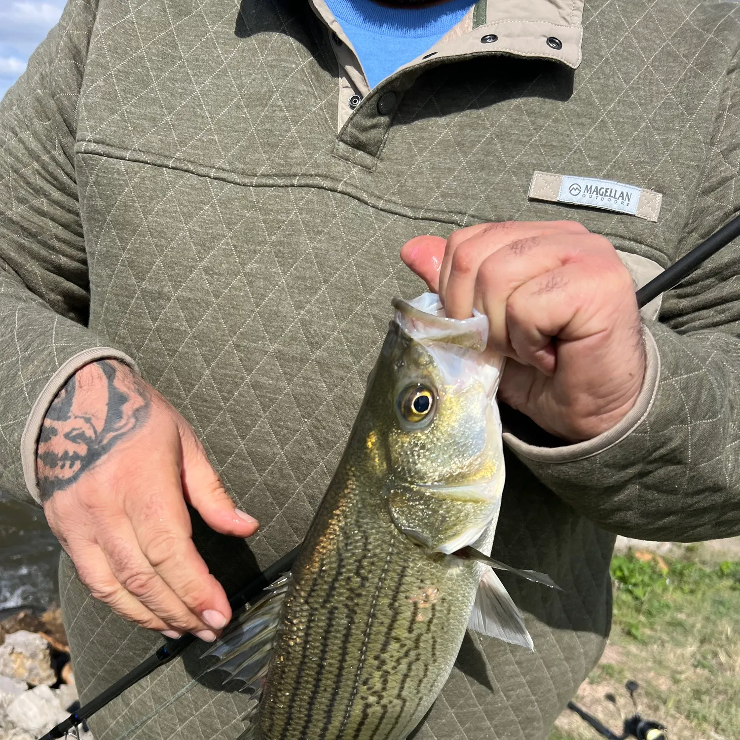Wiper caught on Fishbrain