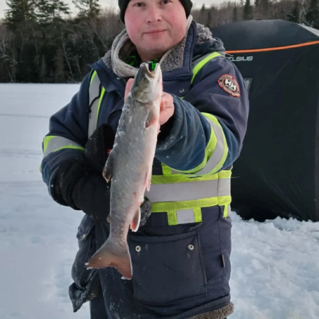 angler catch