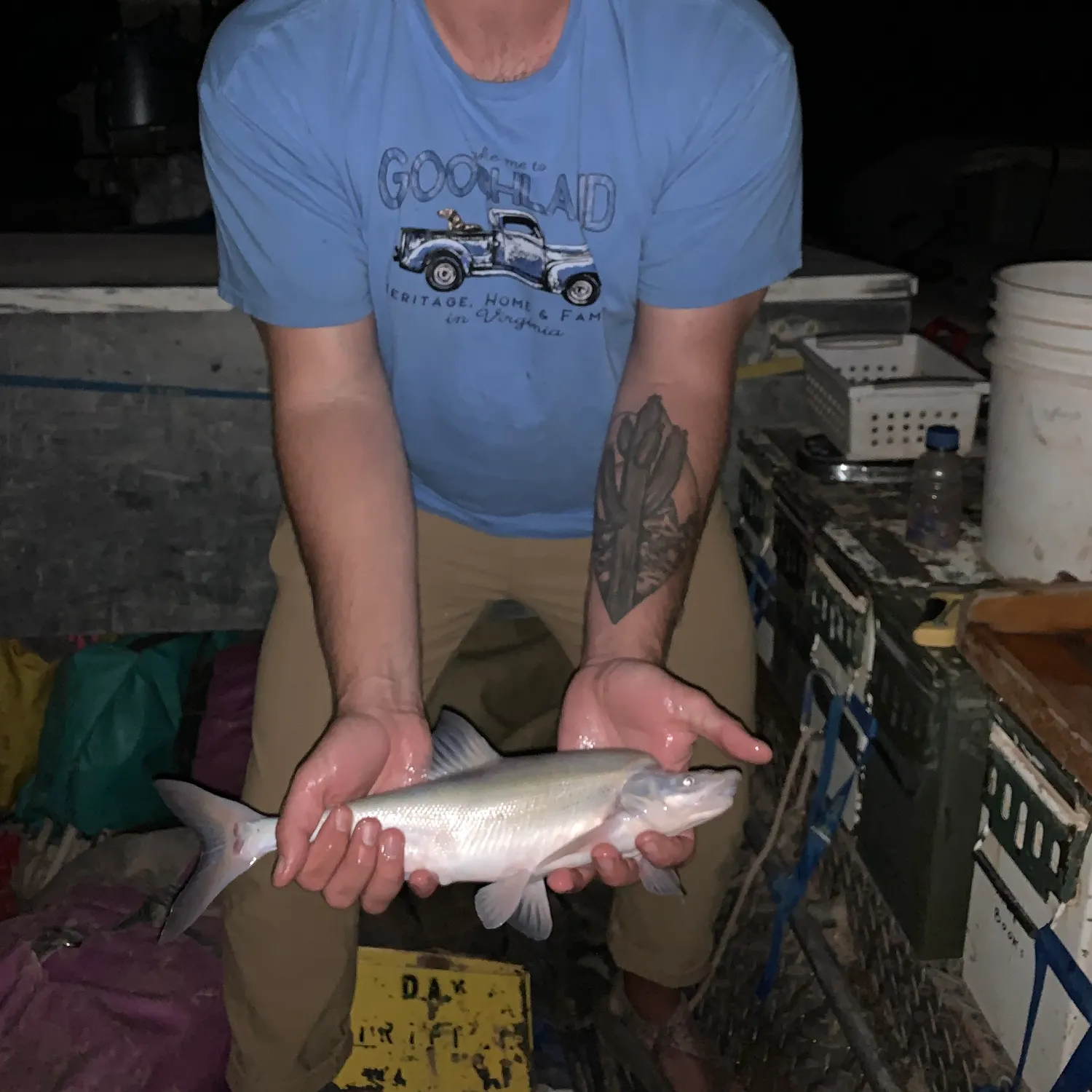 recently logged catches