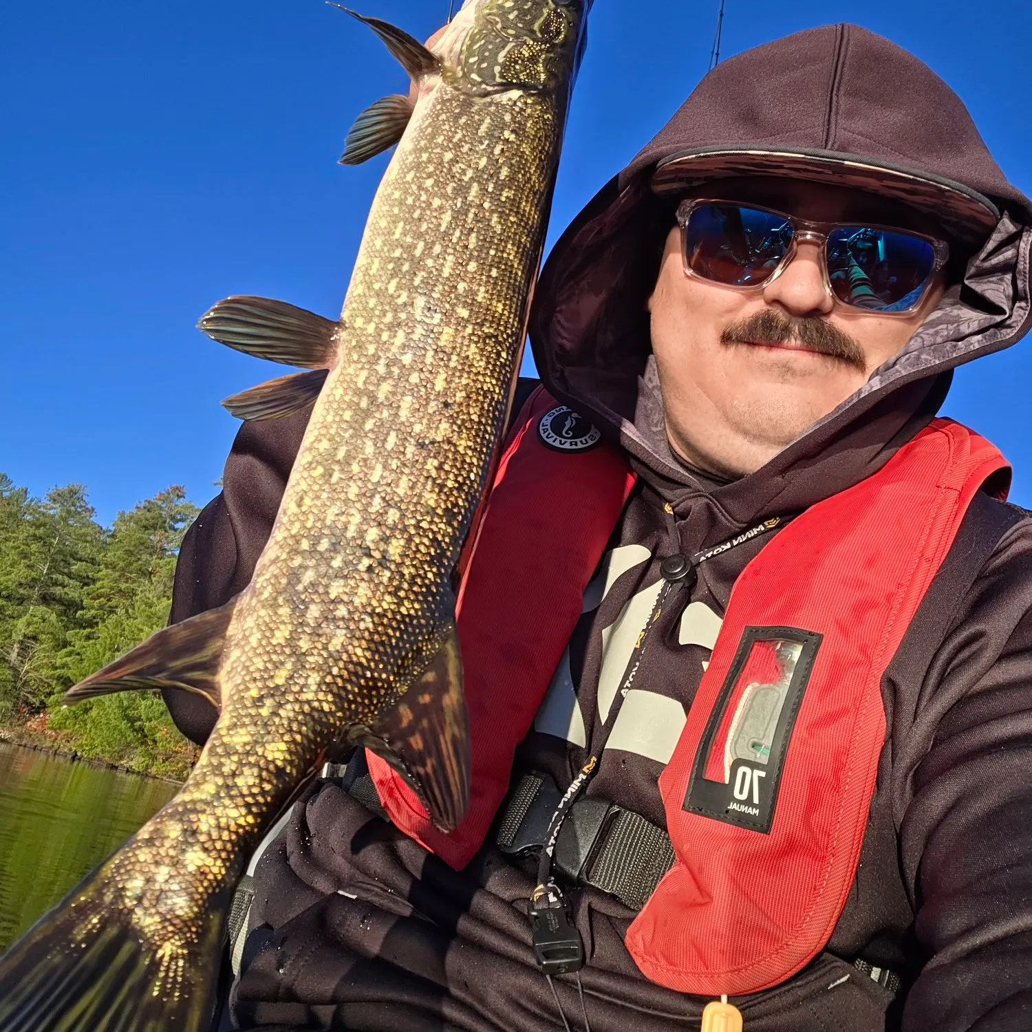 Northern pike caught on Fishbrain