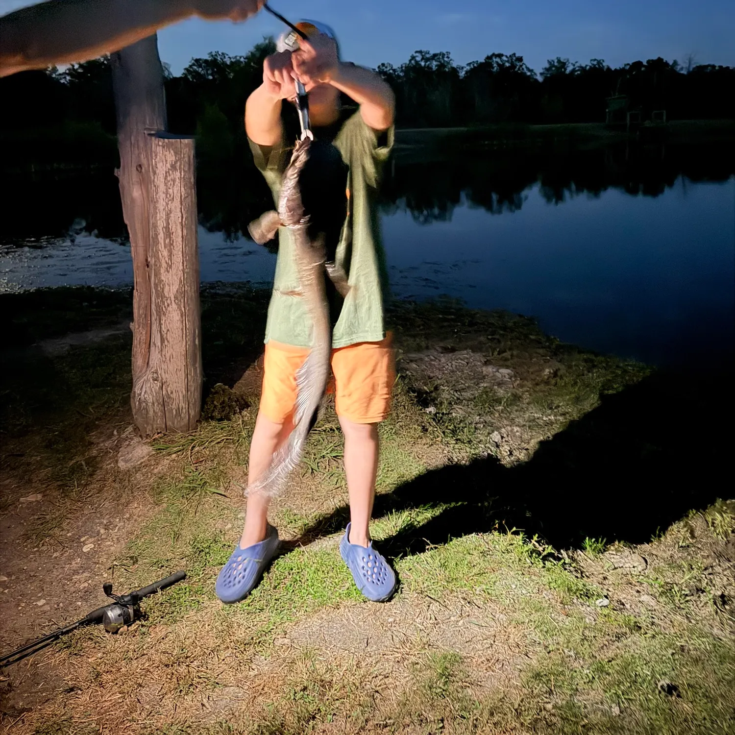 Blue catfish caught on Fishbrain