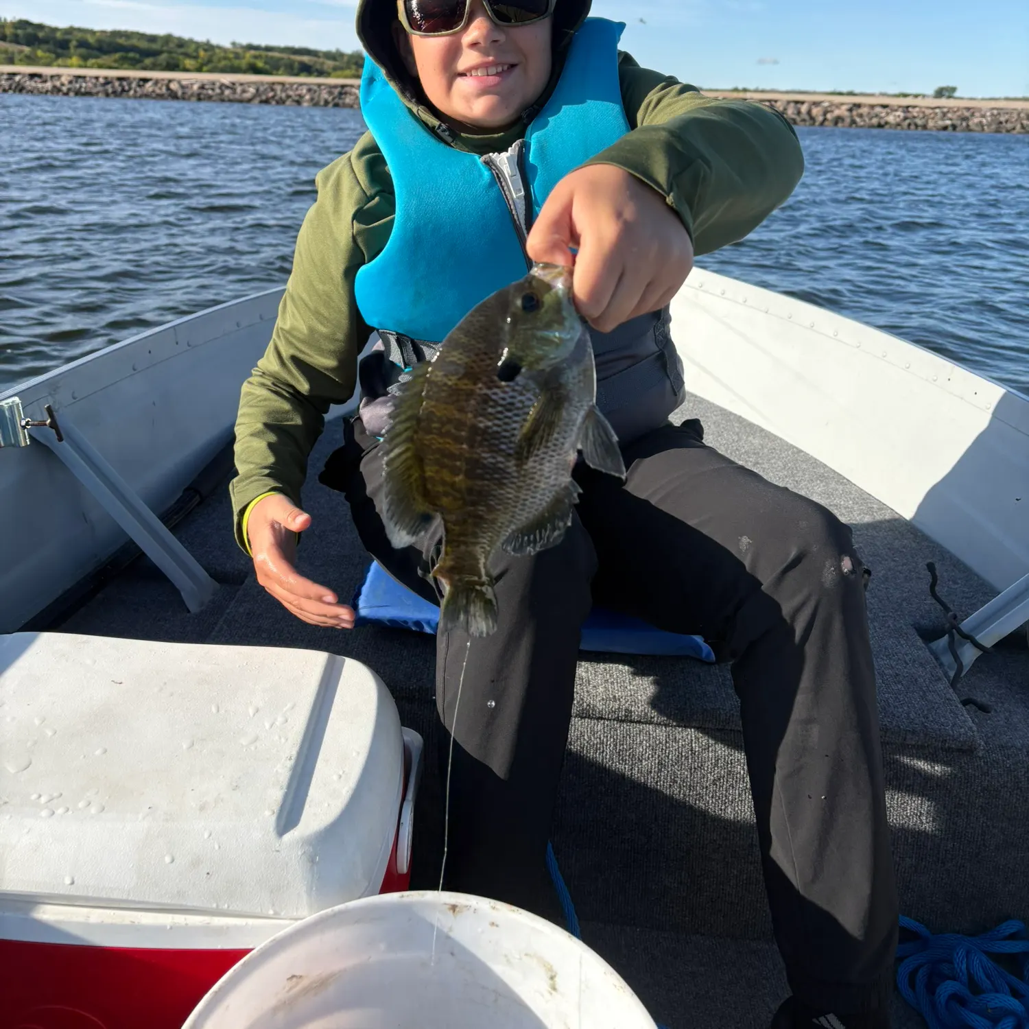 Bluegill caught on Fishbrain
