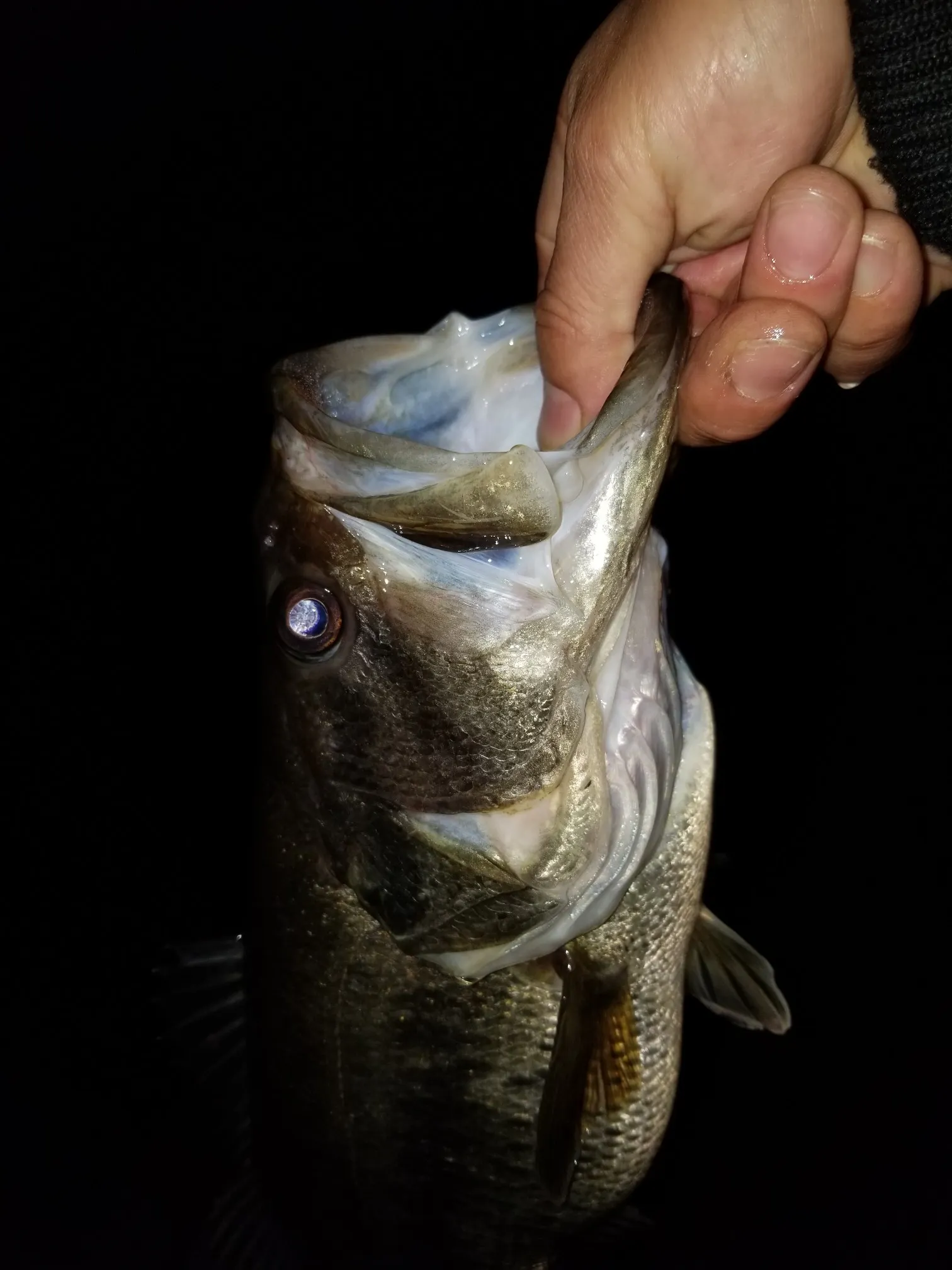 Post image from 96thcast