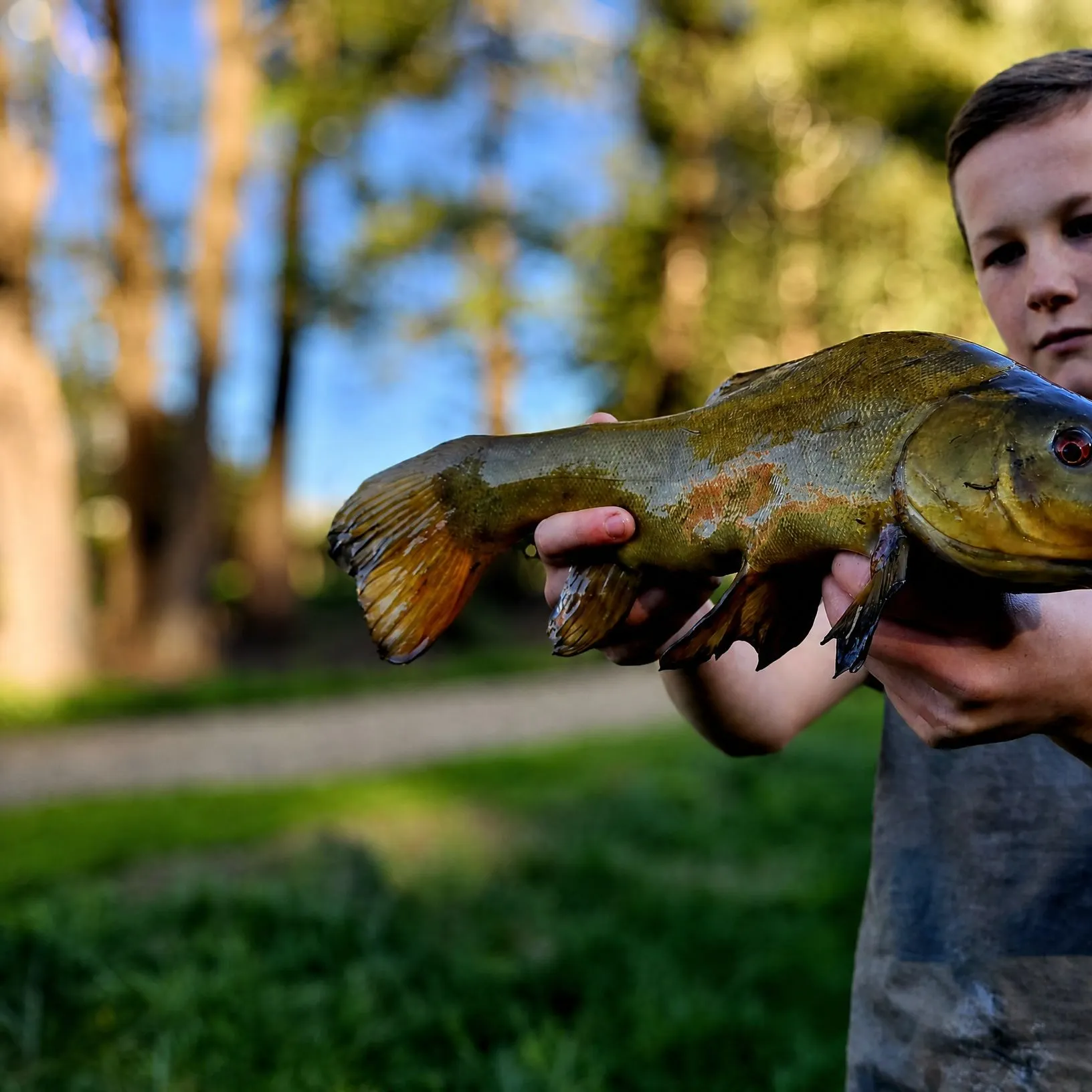 catch