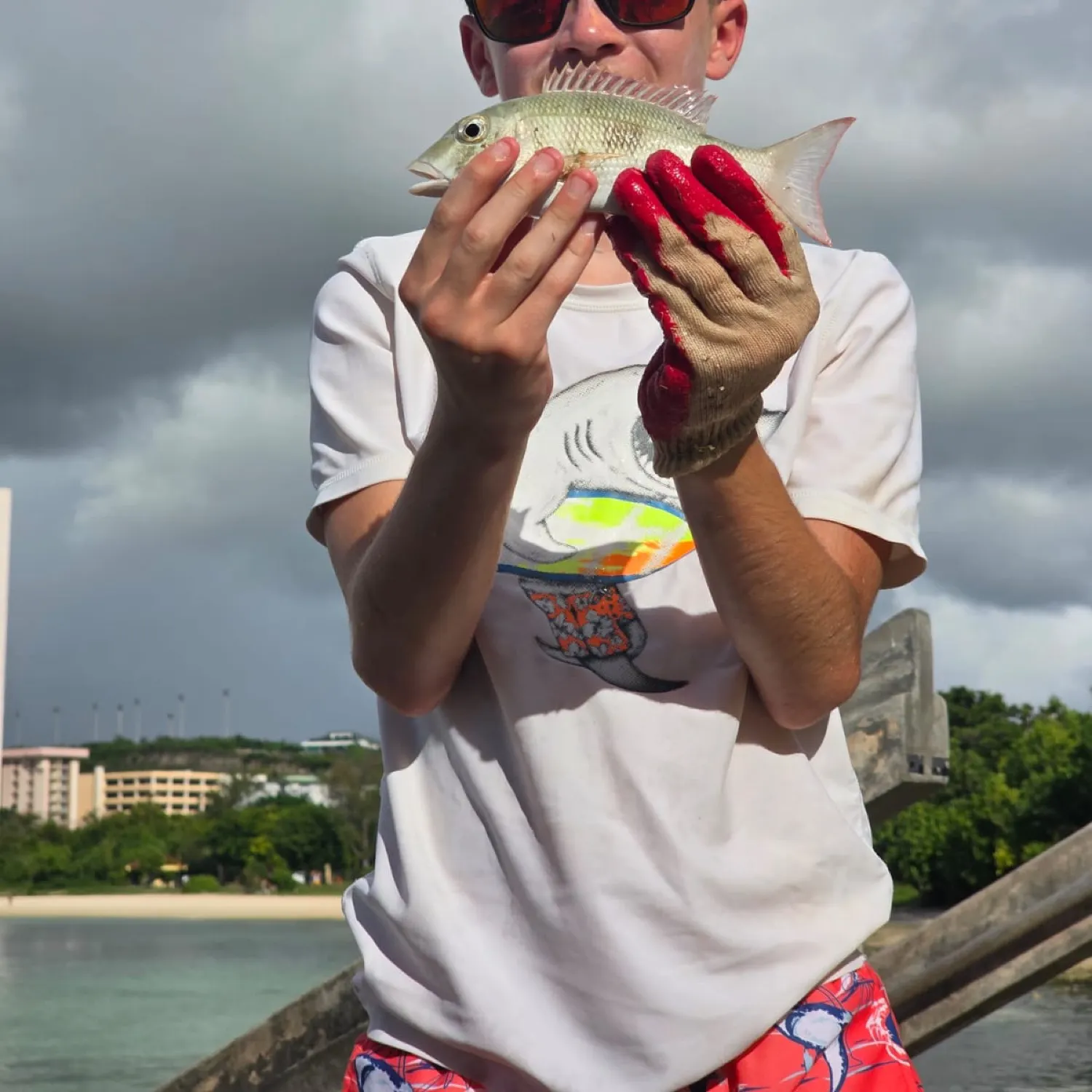 The most recent Mahogany snapper catches on Fishbrain
