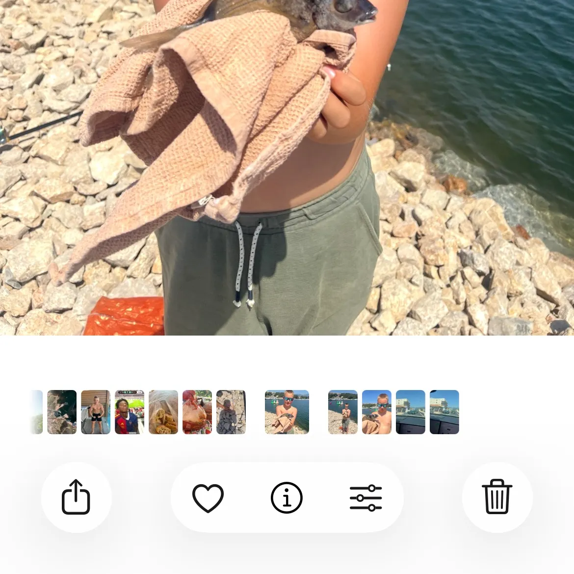 White seabream caught on Fishbrain