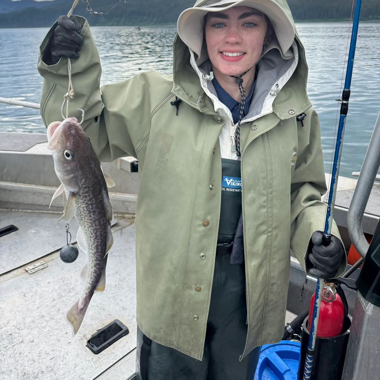 The most recent Pacific cod catches on Fishbrain
