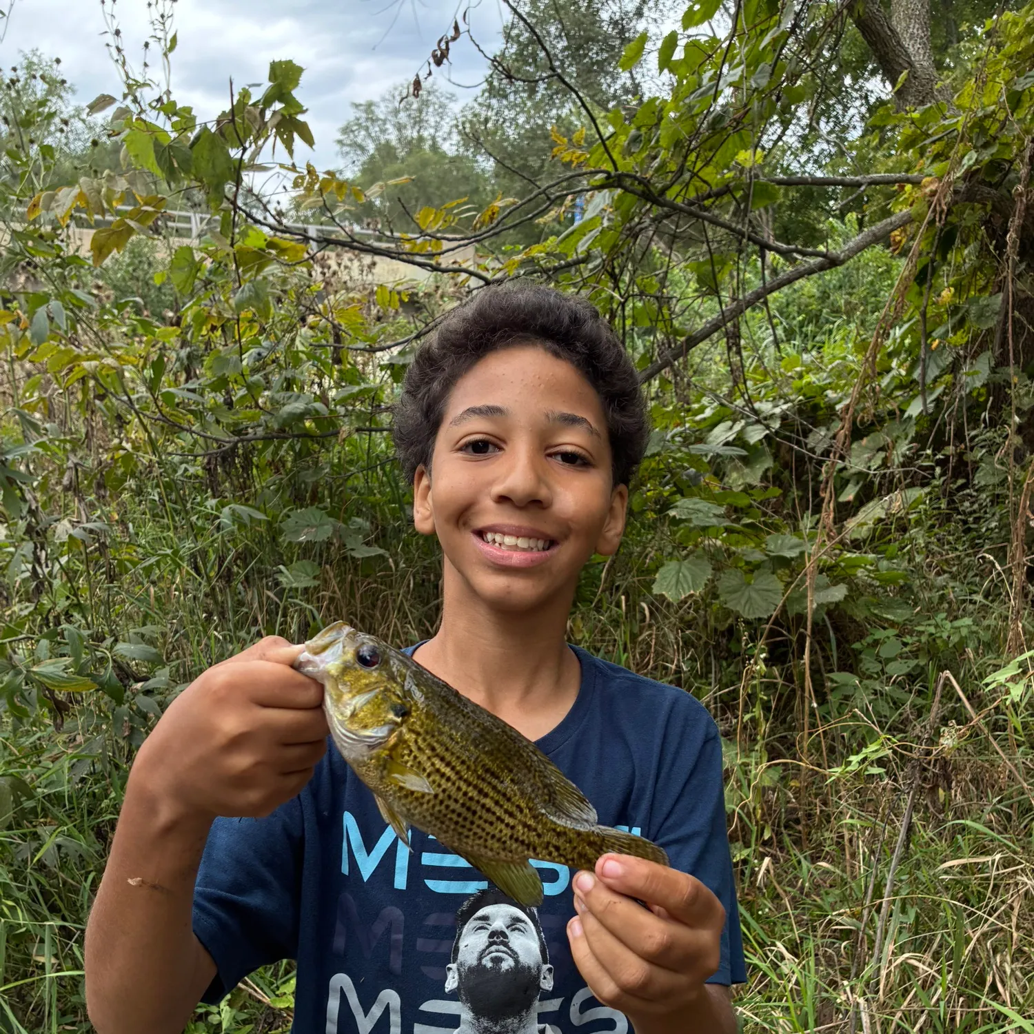 Rock bass caught on Fishbrain