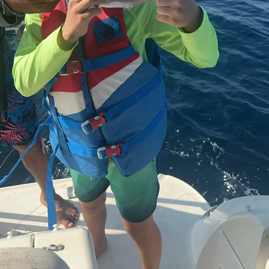 The most recent Southern bluefin tuna catches on Fishbrain