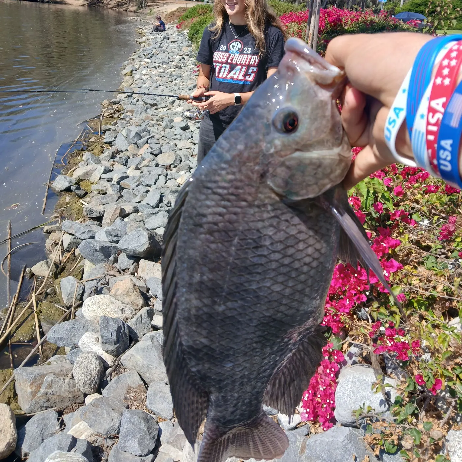 The most recent Blue tilapia catches on Fishbrain