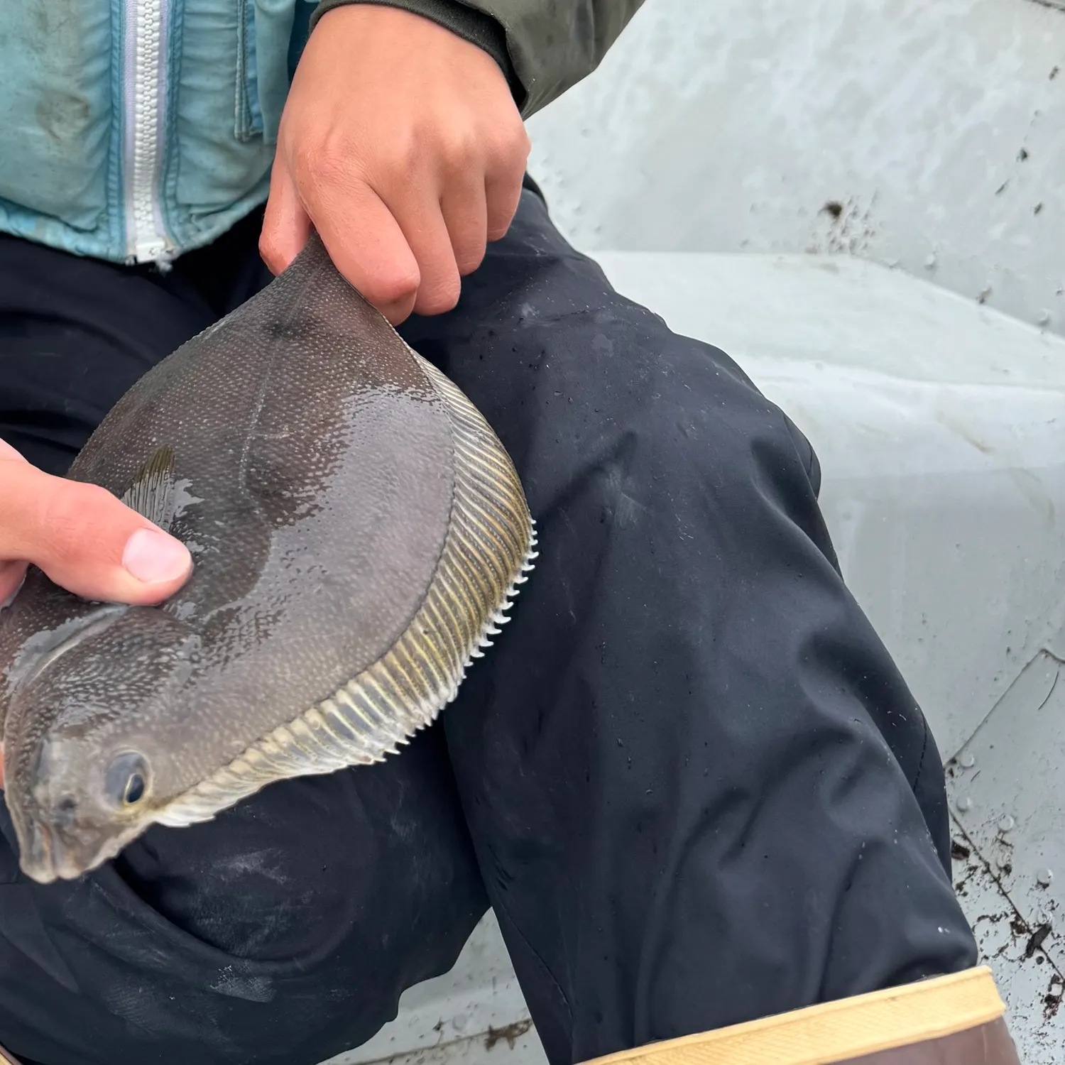 The most recent Yellowfin sole catches on Fishbrain