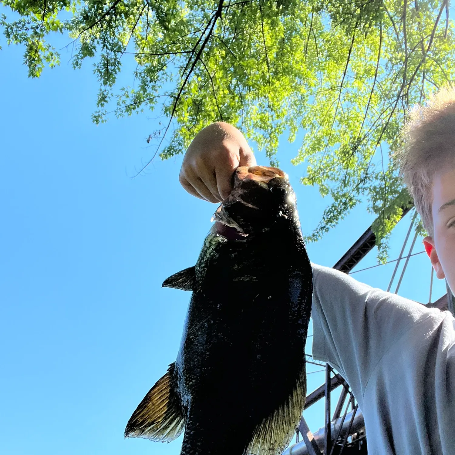 catch