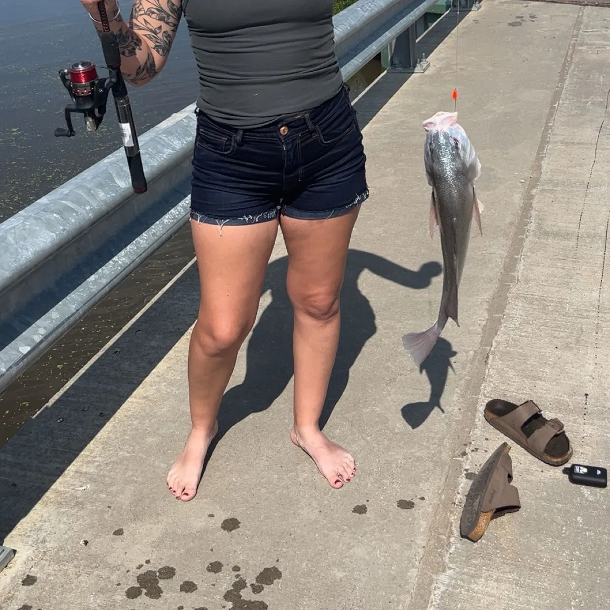 recently logged catches