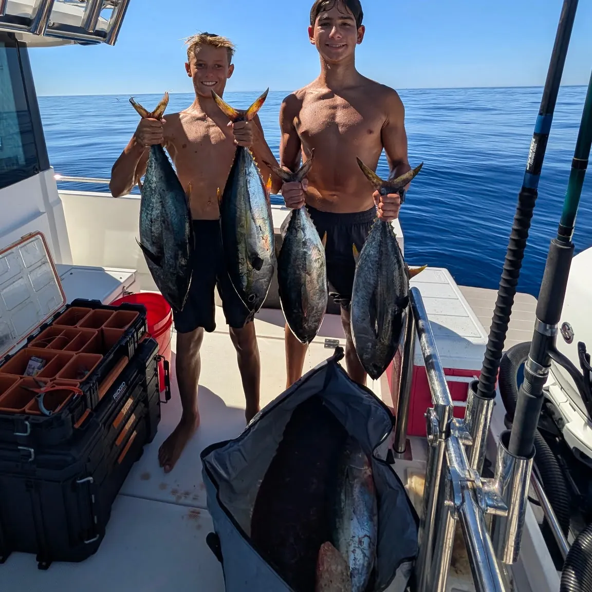 Yellowfin tuna caught on Fishbrain